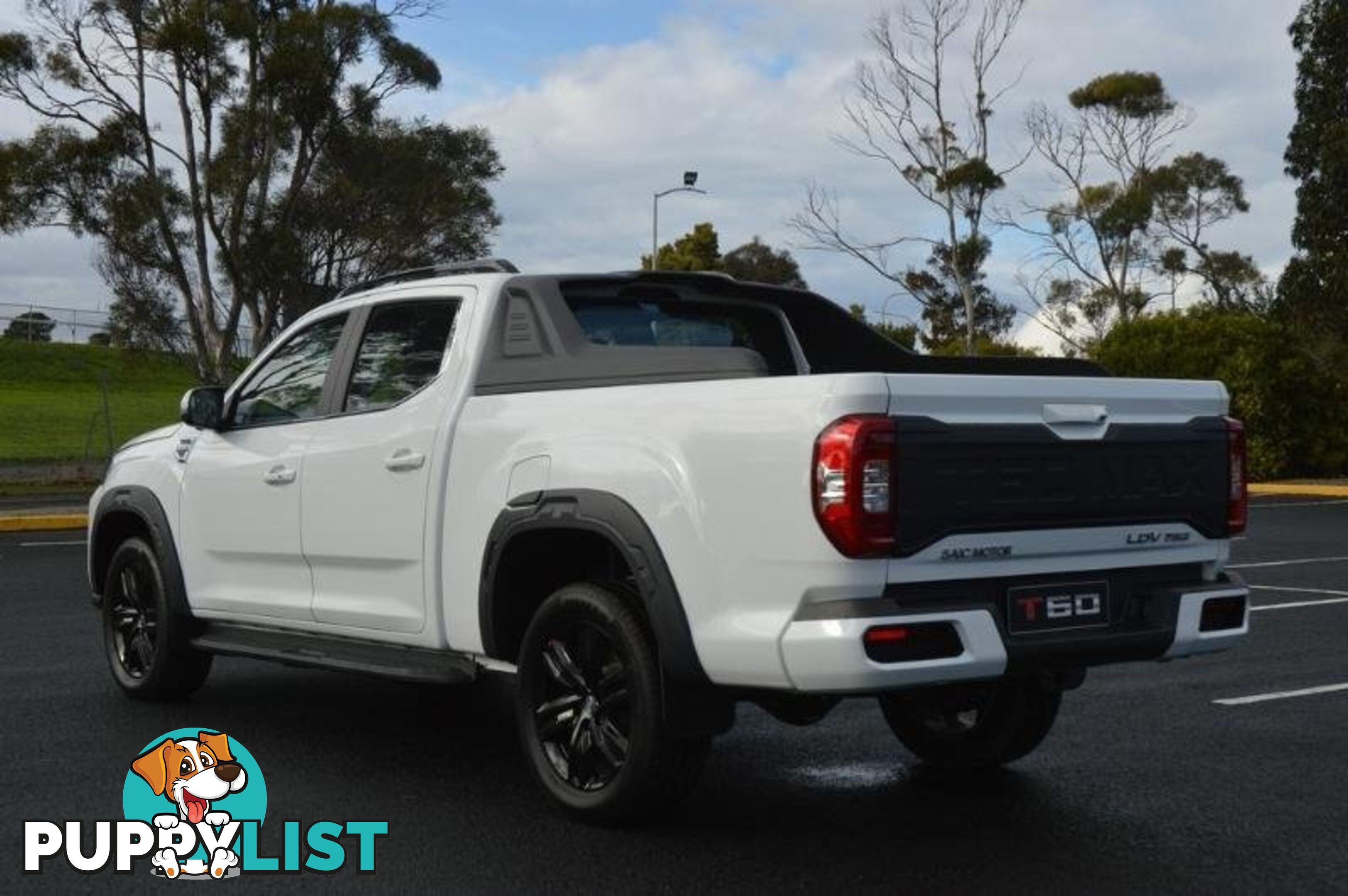 2024 LDV T60 MAX-LUXE-MEGA-TUB SK8C MY23 4X4 DUAL RANGE DUAL CAB LONG WHEELBASE UTILITY