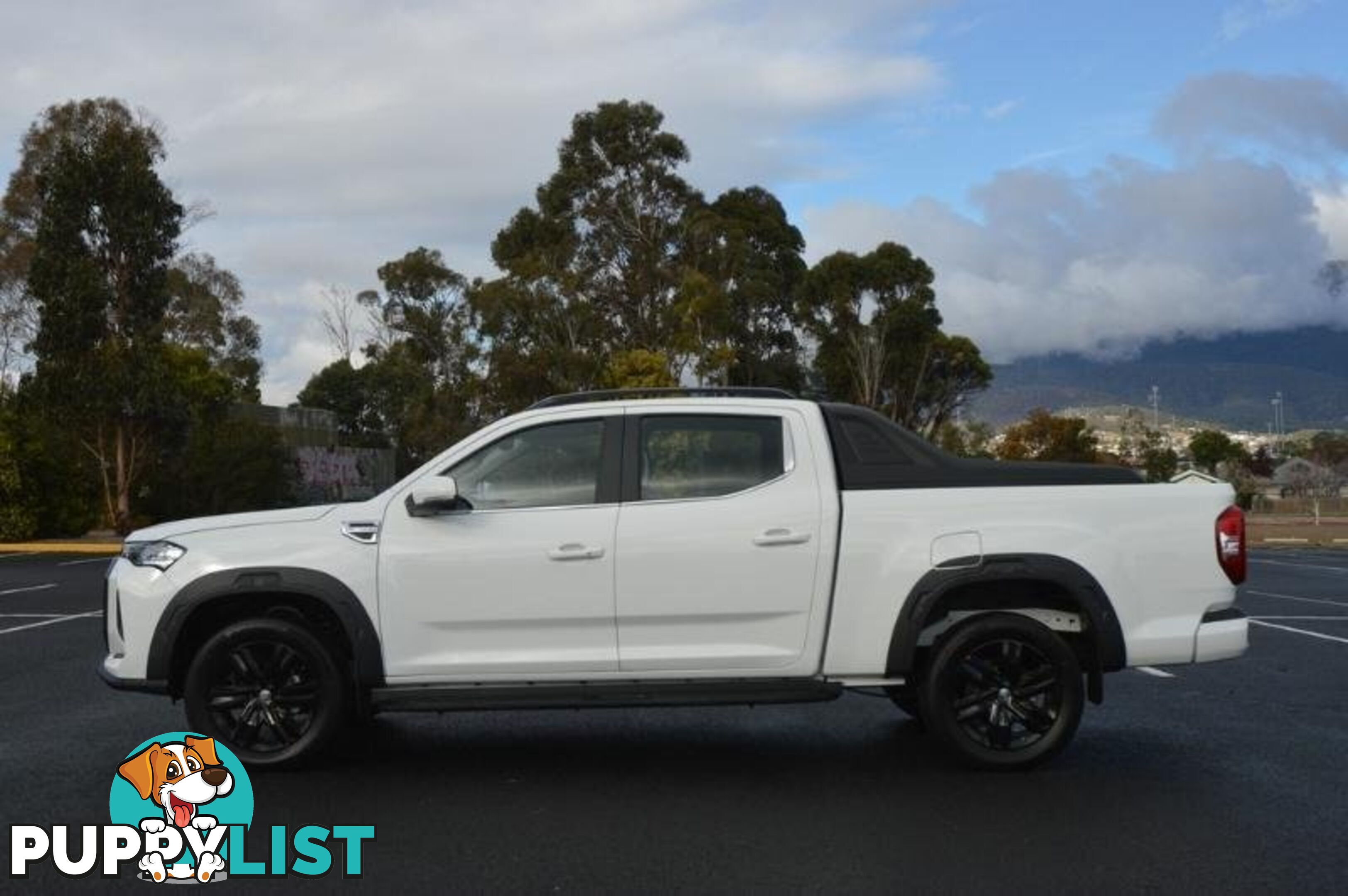 2024 LDV T60 MAX-LUXE-MEGA-TUB SK8C MY23 4X4 DUAL RANGE DUAL CAB LONG WHEELBASE UTILITY