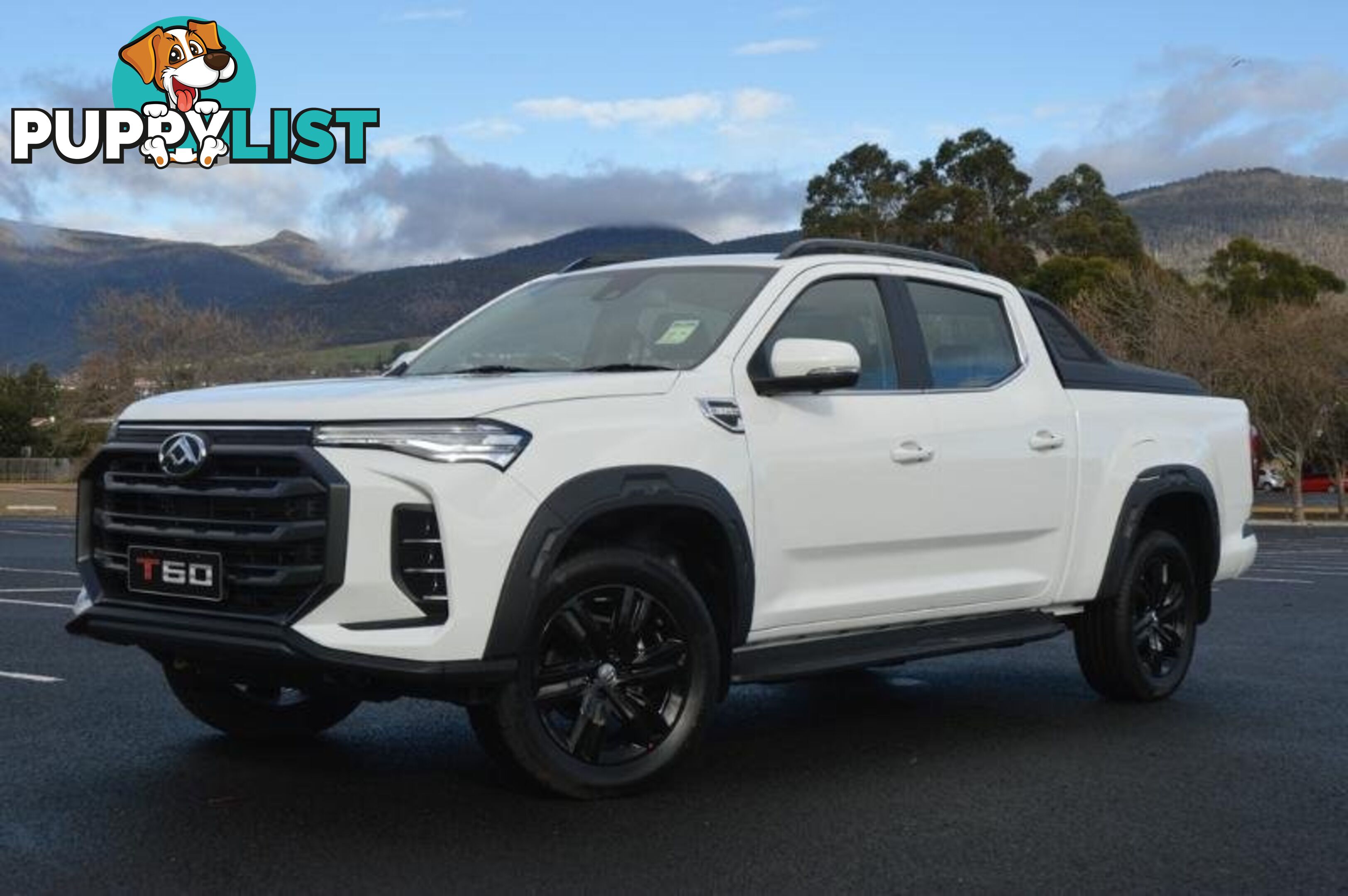 2024 LDV T60 MAX-LUXE-MEGA-TUB SK8C MY23 4X4 DUAL RANGE DUAL CAB LONG WHEELBASE UTILITY