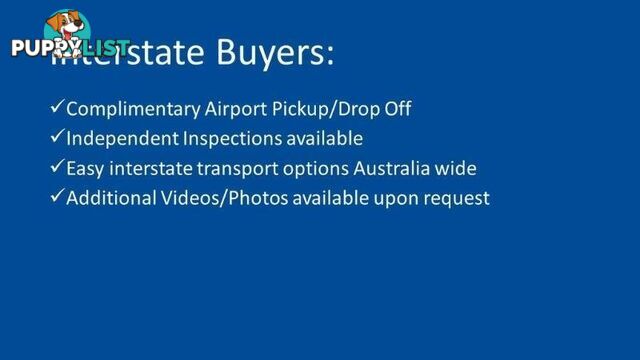 2024 LDV DELIVER 9 MY24 MY24 LONG WHEELBASE HIGH ROOF BUS