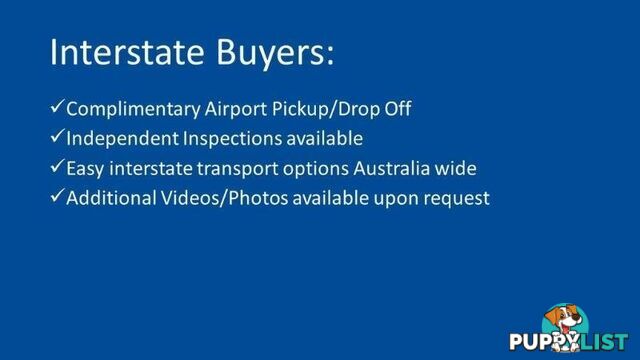 2025 LDV DELIVER 9 MY24 MY24 SINGLE CAB EXTRA LONG WHEELBASE CAB CHASSIS