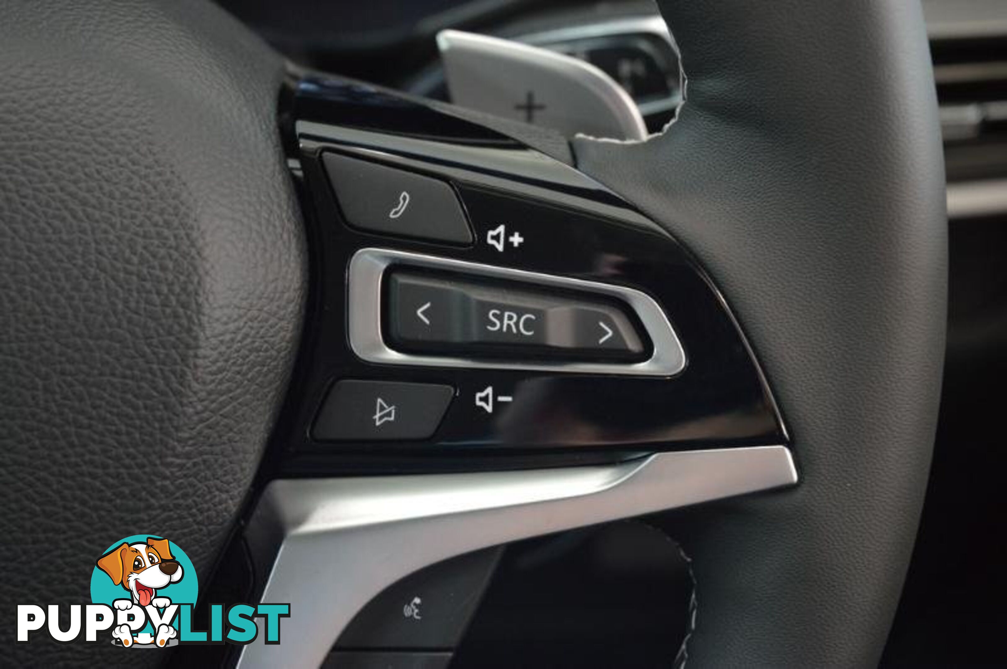 2024 LDV D90 EXECUTIVE SV9A MY25 4X4 DUAL RANGE SUV