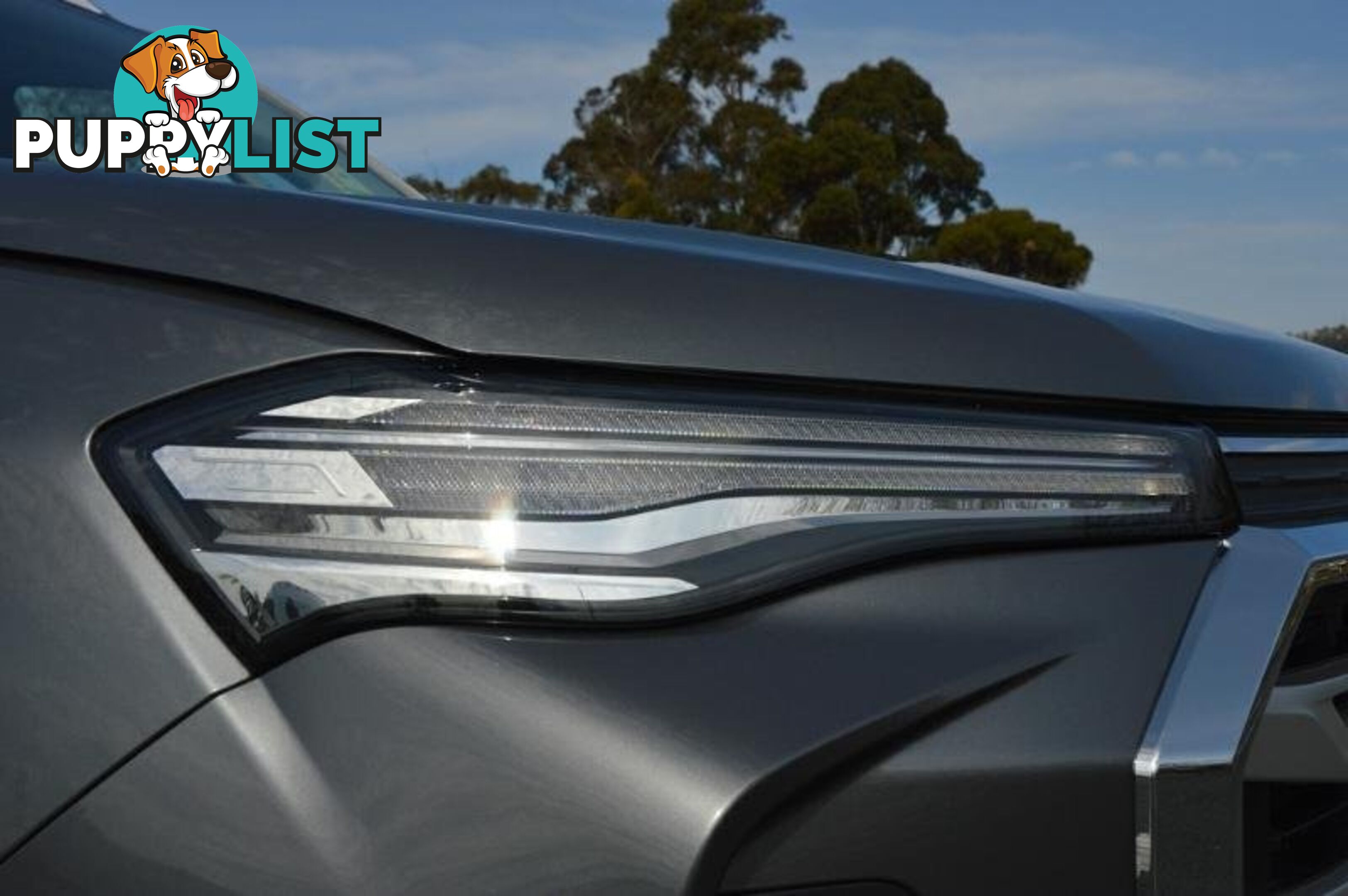2024 LDV T60 MAX-PRO SK8C MY23 4X4 DUAL RANGE DUAL CAB UTILITY