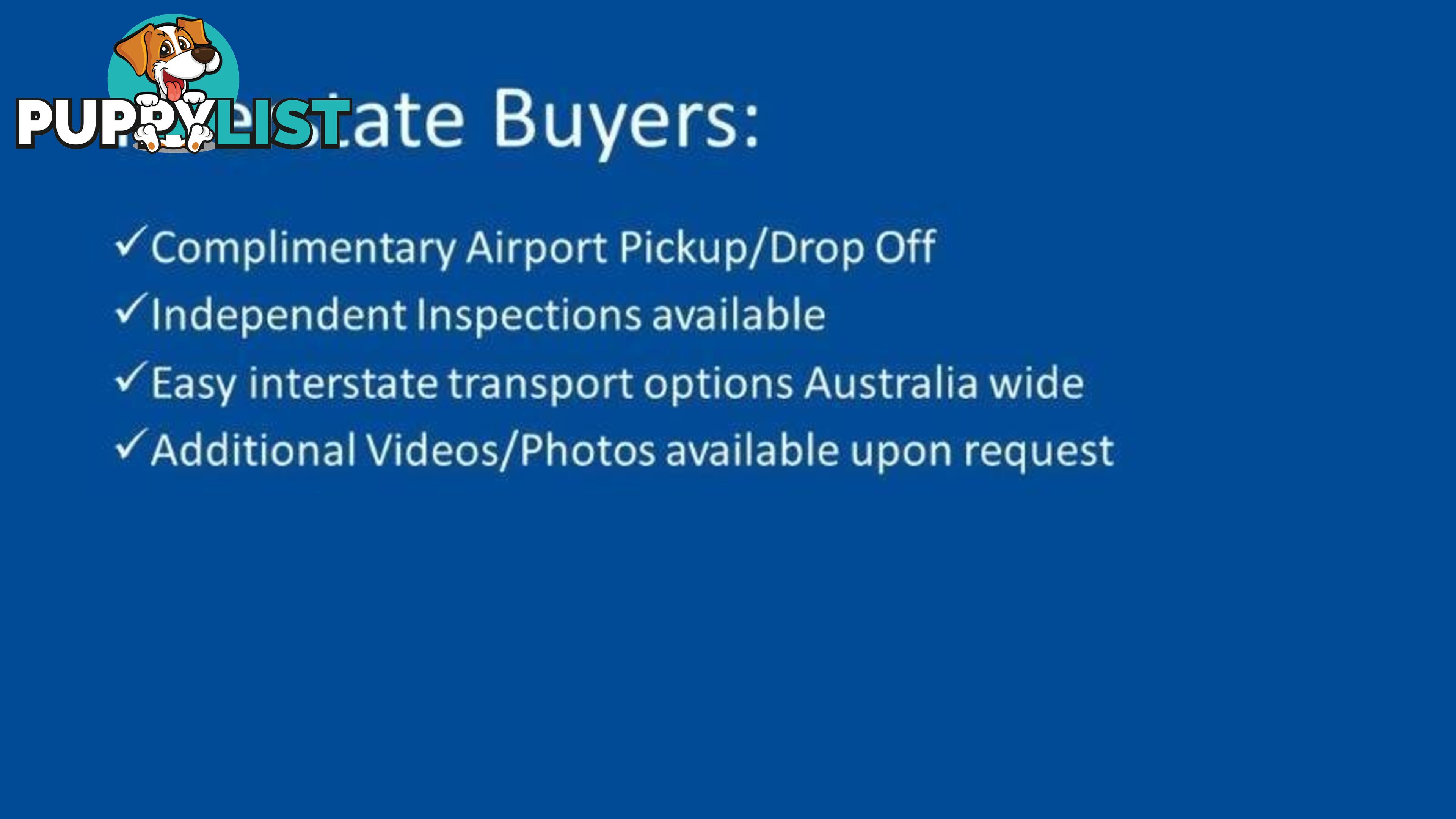 2002 HOLDEN UTE SS VU II EXTENDED CAB UTILITY