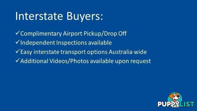 2002 HOLDEN UTE SS VU II EXTENDED CAB UTILITY