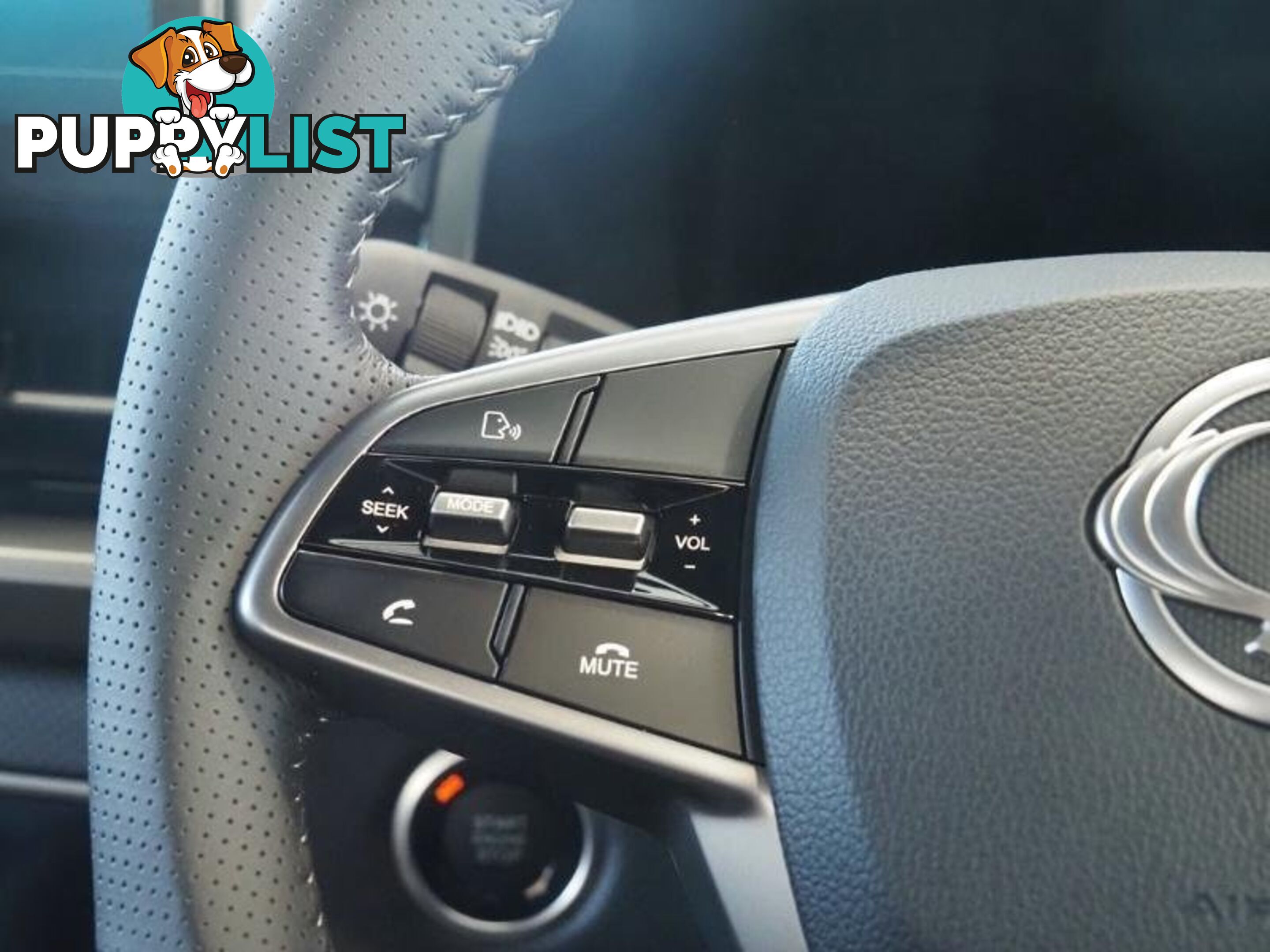 2024 SSANGYONG MUSSO ADVENTURE Q261 MY24 4X4 DUAL RANGE DUAL CAB UTILITY
