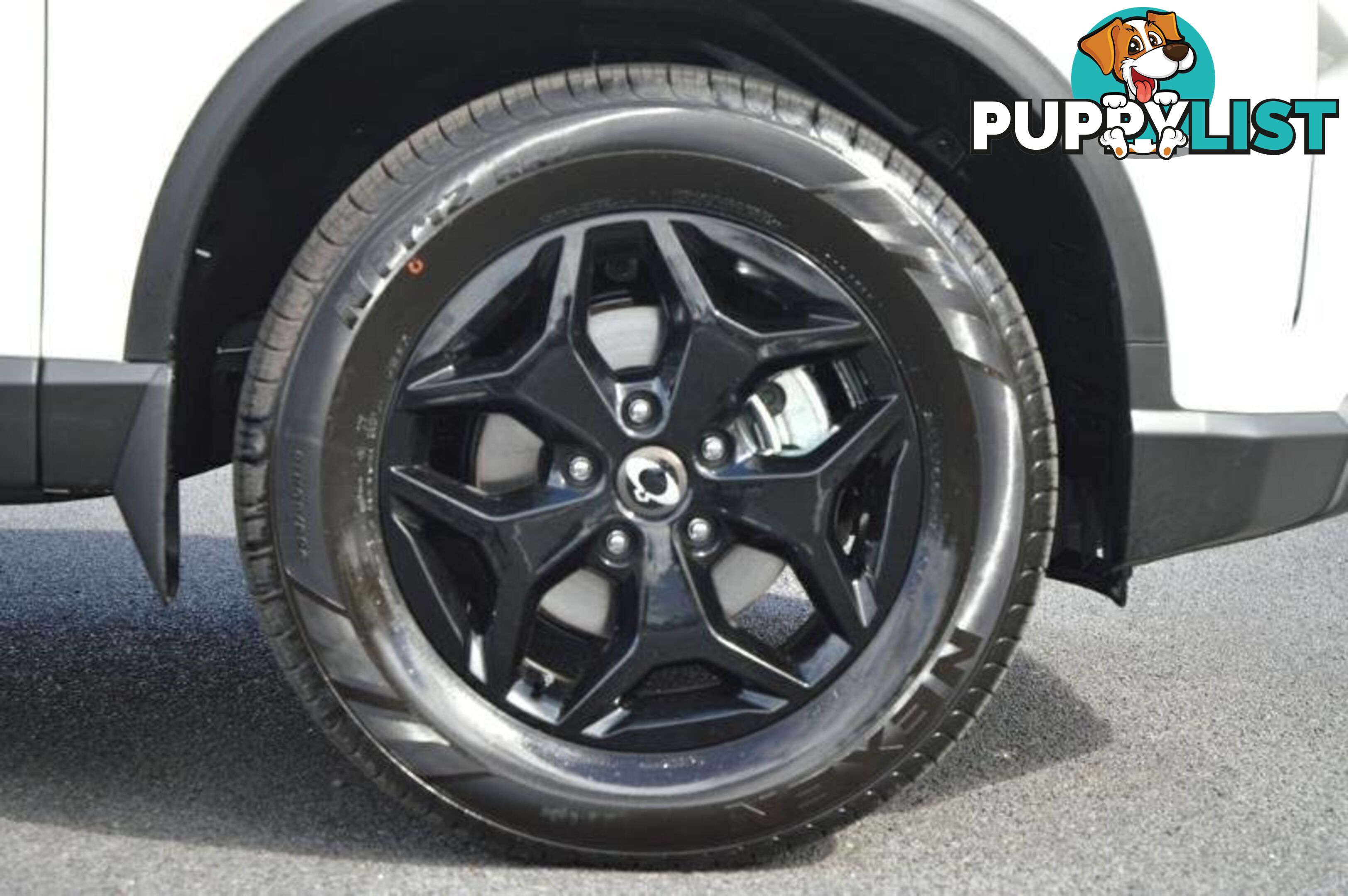 2024 SSANGYONG MUSSO ULTIMATE Q261 MY24 4X4 DUAL RANGE DUAL CAB UTILITY