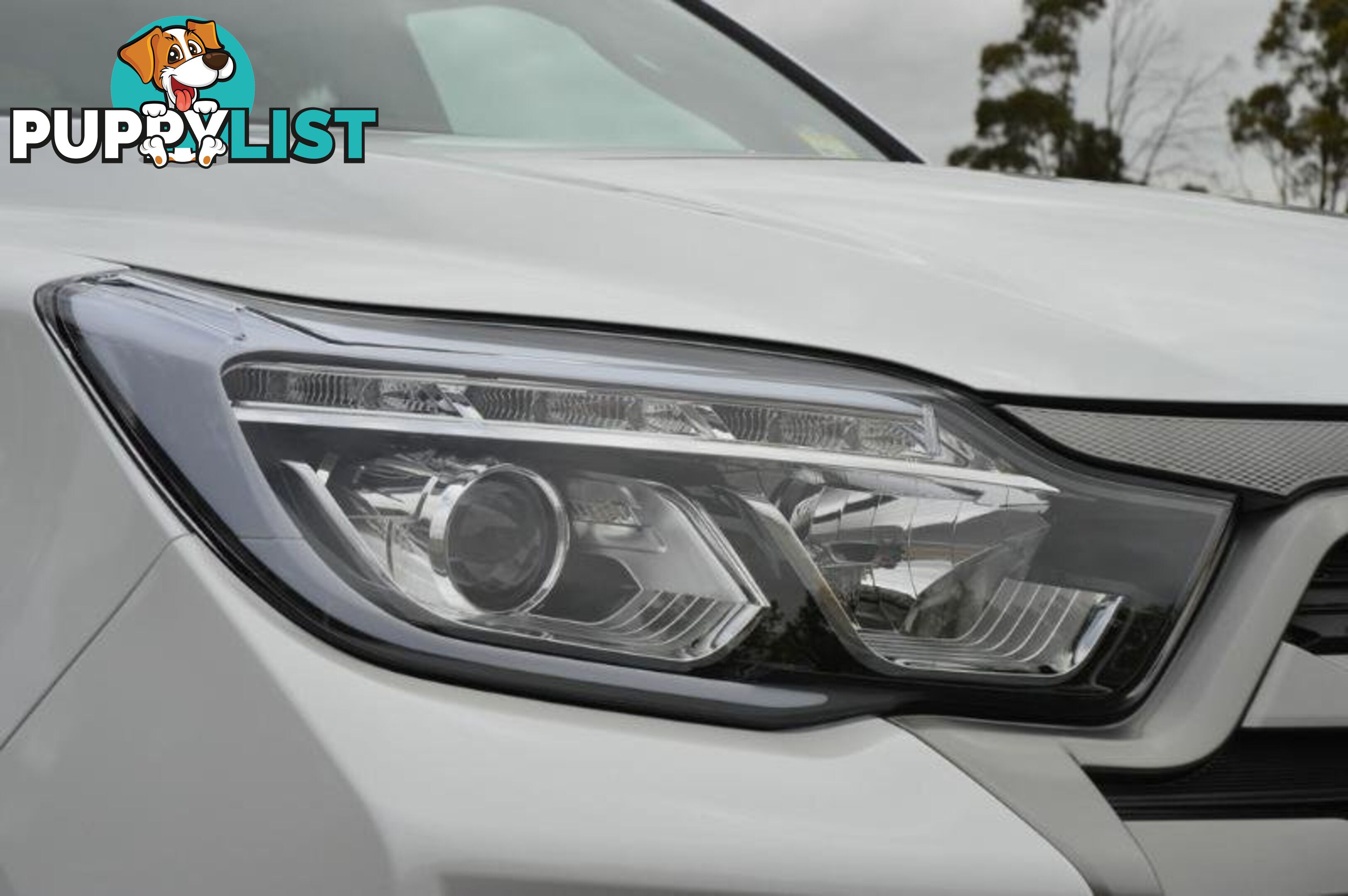 2024 SSANGYONG MUSSO ULTIMATE-LUXURY Q261 MY24 4X4 DUAL RANGE DUAL CAB UTILITY