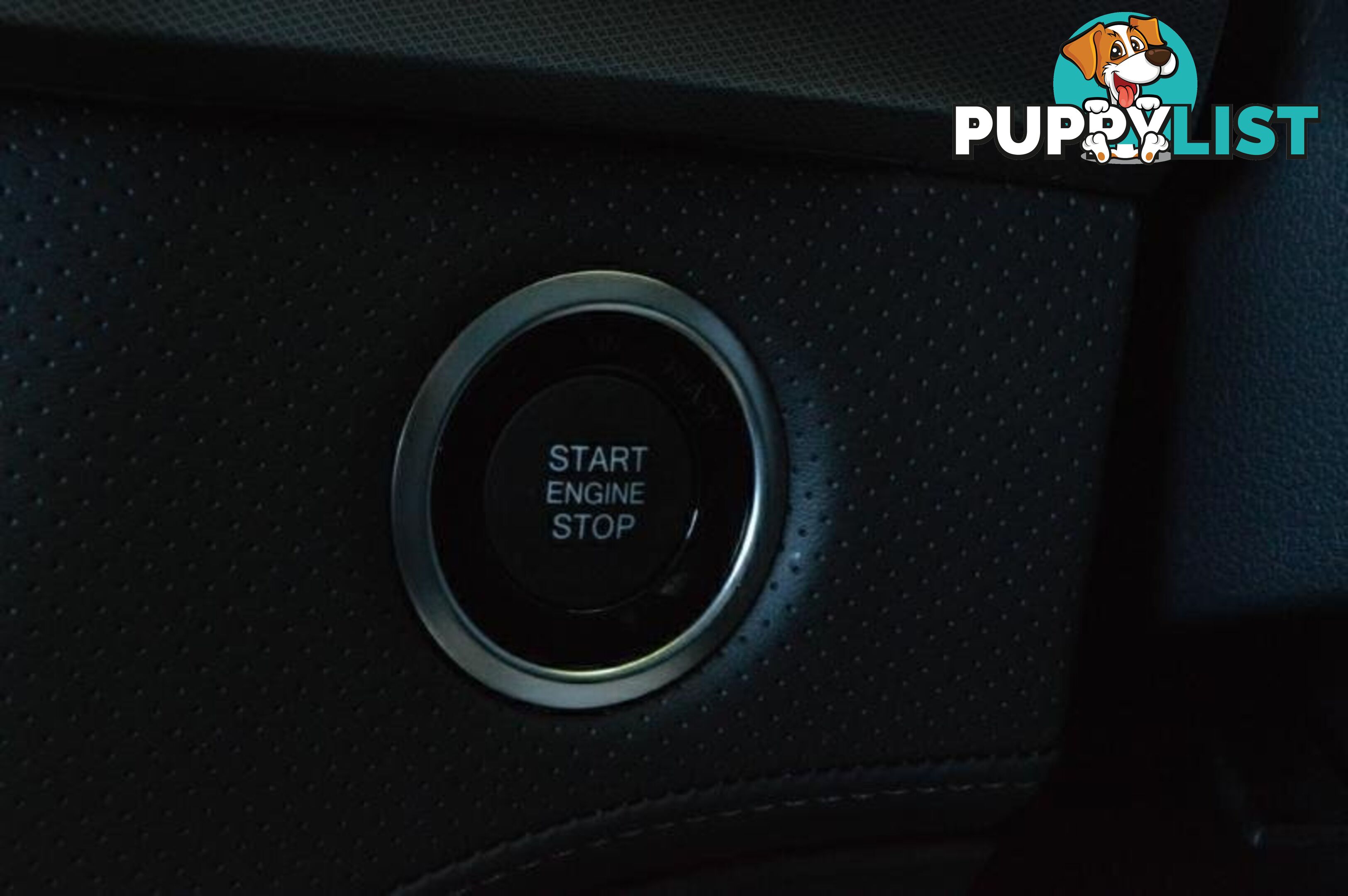 2024 SSANGYONG MUSSO ULTIMATE-LUXURY Q261 MY24 4X4 DUAL RANGE DUAL CAB UTILITY