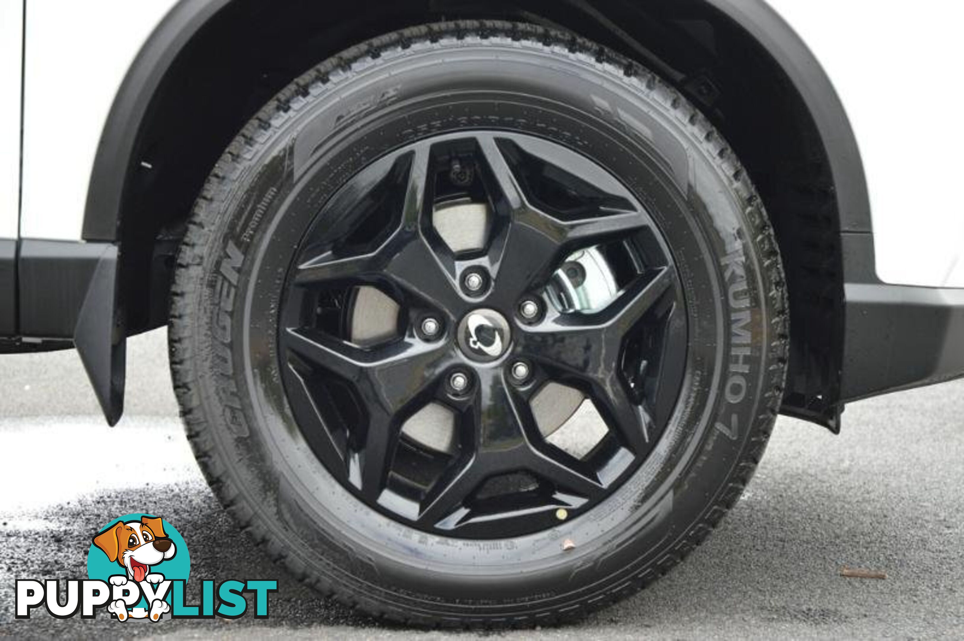 2024 SSANGYONG MUSSO ULTIMATE-LUXURY Q261 MY24 4X4 DUAL RANGE DUAL CAB UTILITY