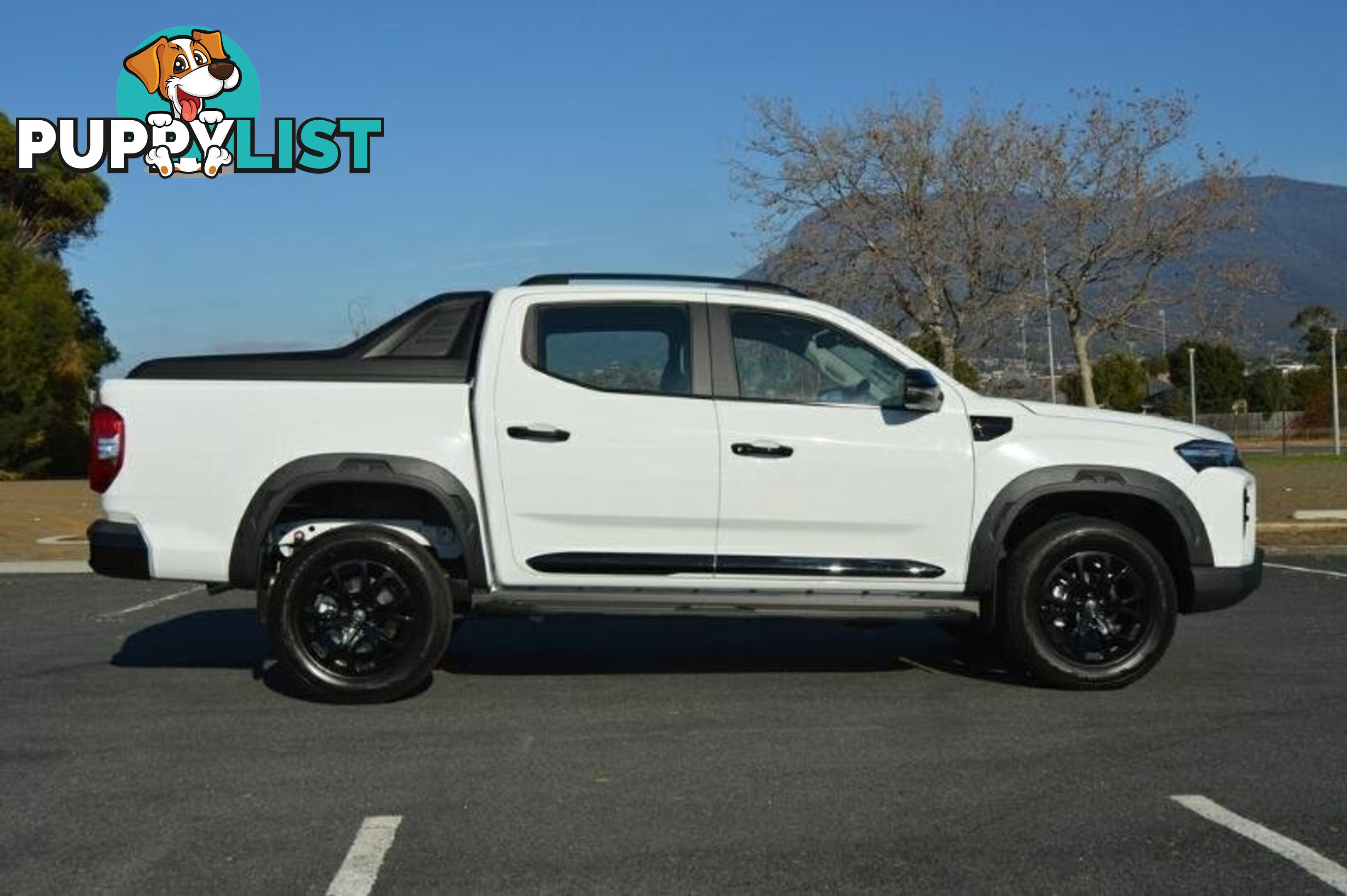 2024 LDV T60 MAX-PLUS SK8C MY24 4X4 DUAL RANGE DUAL CAB UTILITY