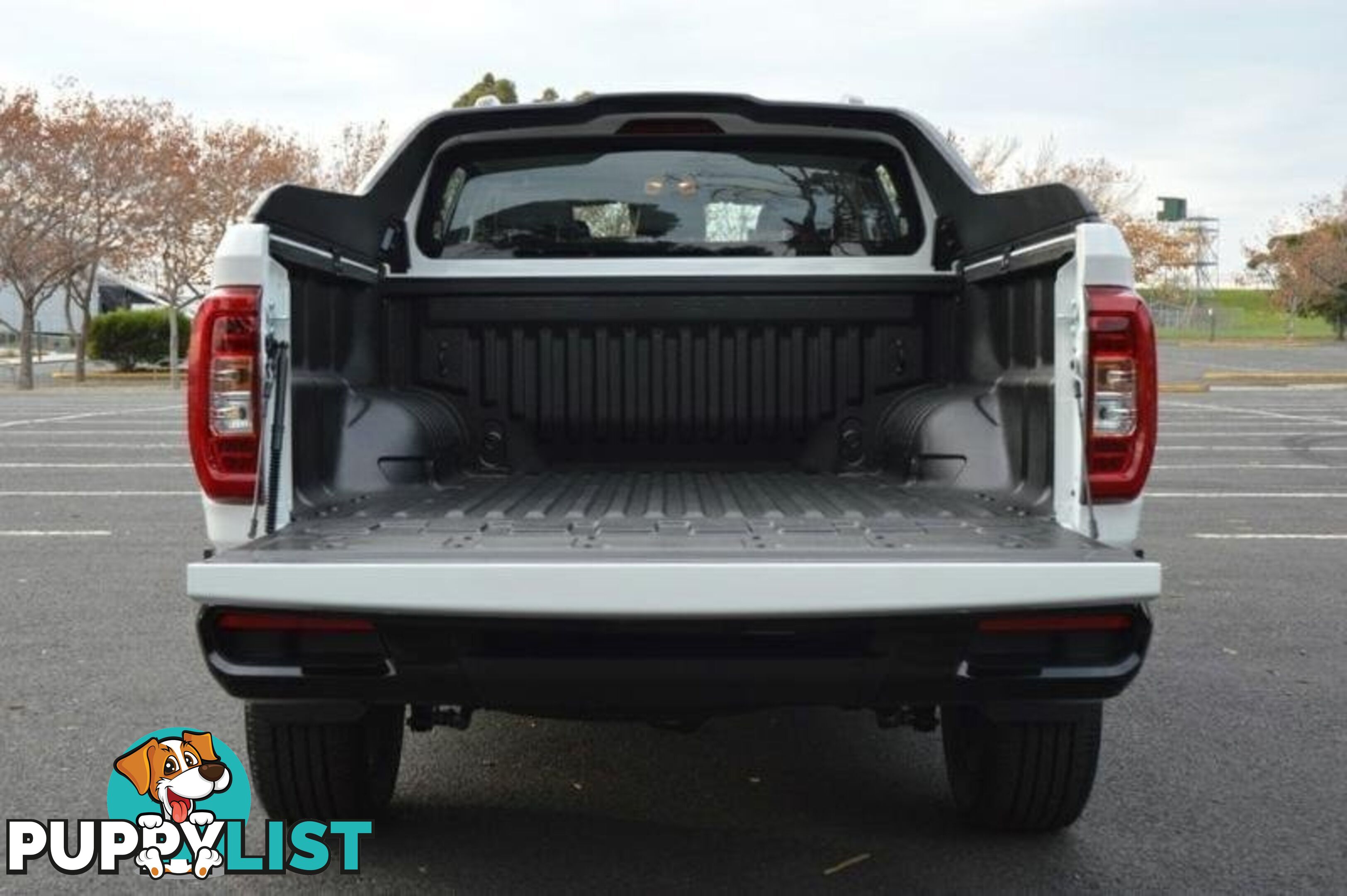 2024 LDV T60 MAX-PLUS SK8C MY24 4X4 DUAL RANGE DUAL CAB UTILITY