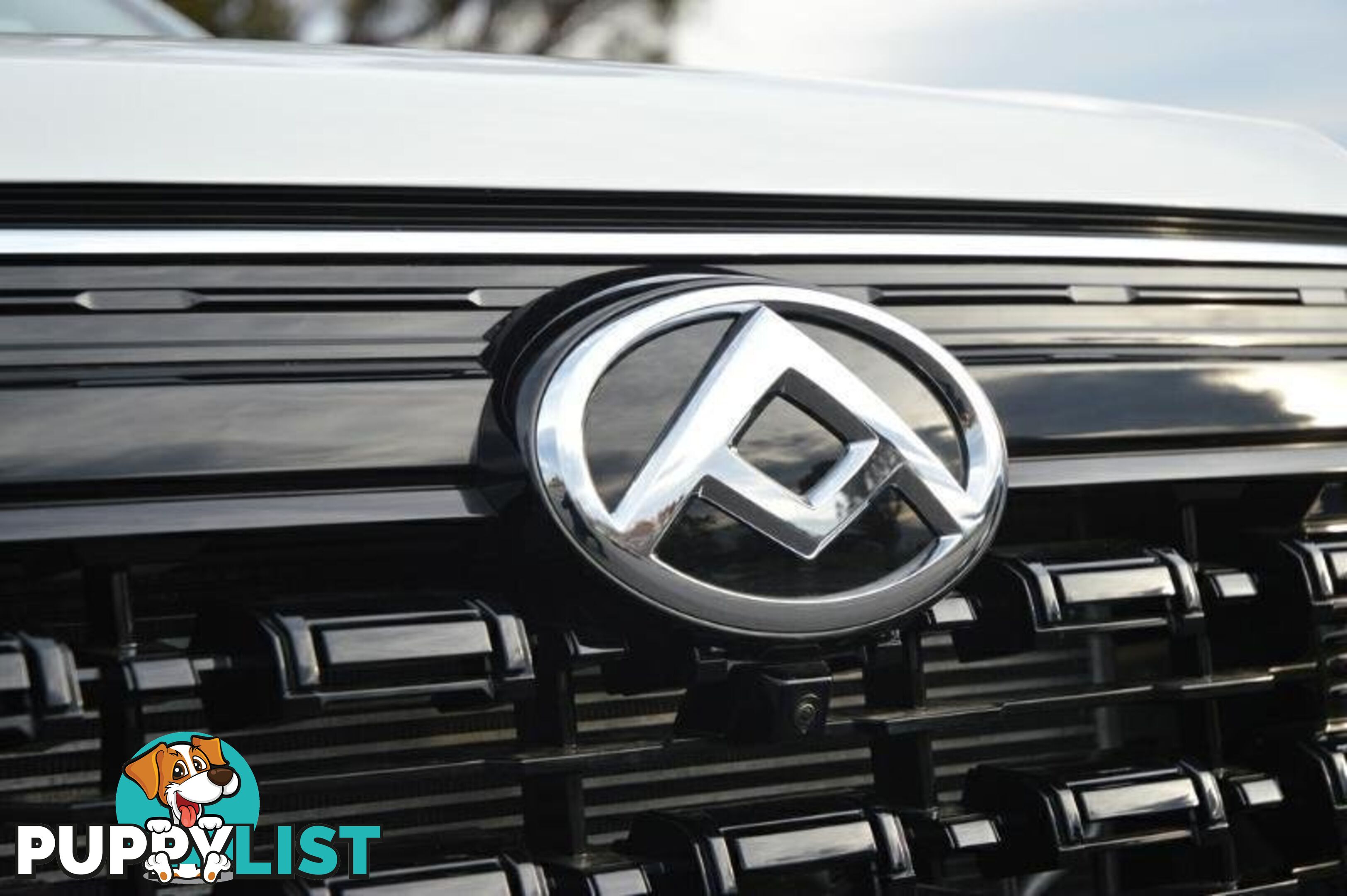 2024 LDV T60 MAX-PLUS SK8C MY24 4X4 DUAL RANGE DUAL CAB UTILITY