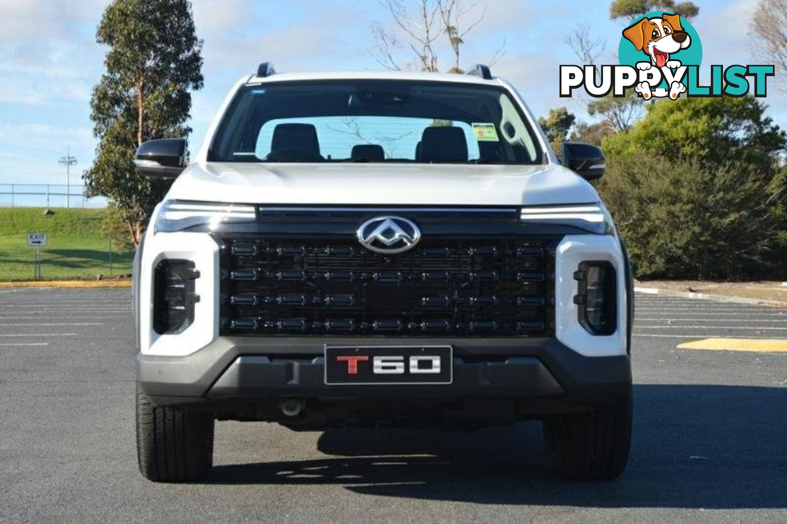 2024 LDV T60 MAX-PLUS SK8C MY24 4X4 DUAL RANGE DUAL CAB UTILITY