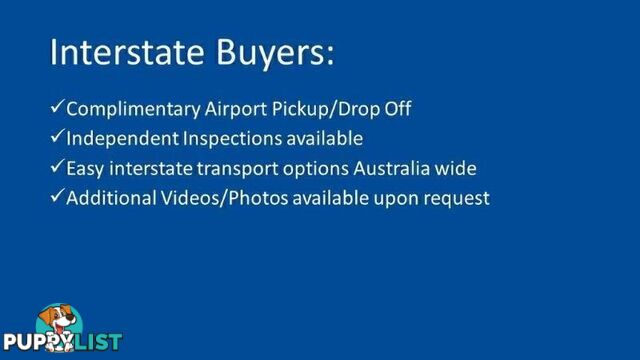 2024 LDV T60 MAX-PLUS SK8C MY24 4X4 DUAL RANGE DUAL CAB UTILITY
