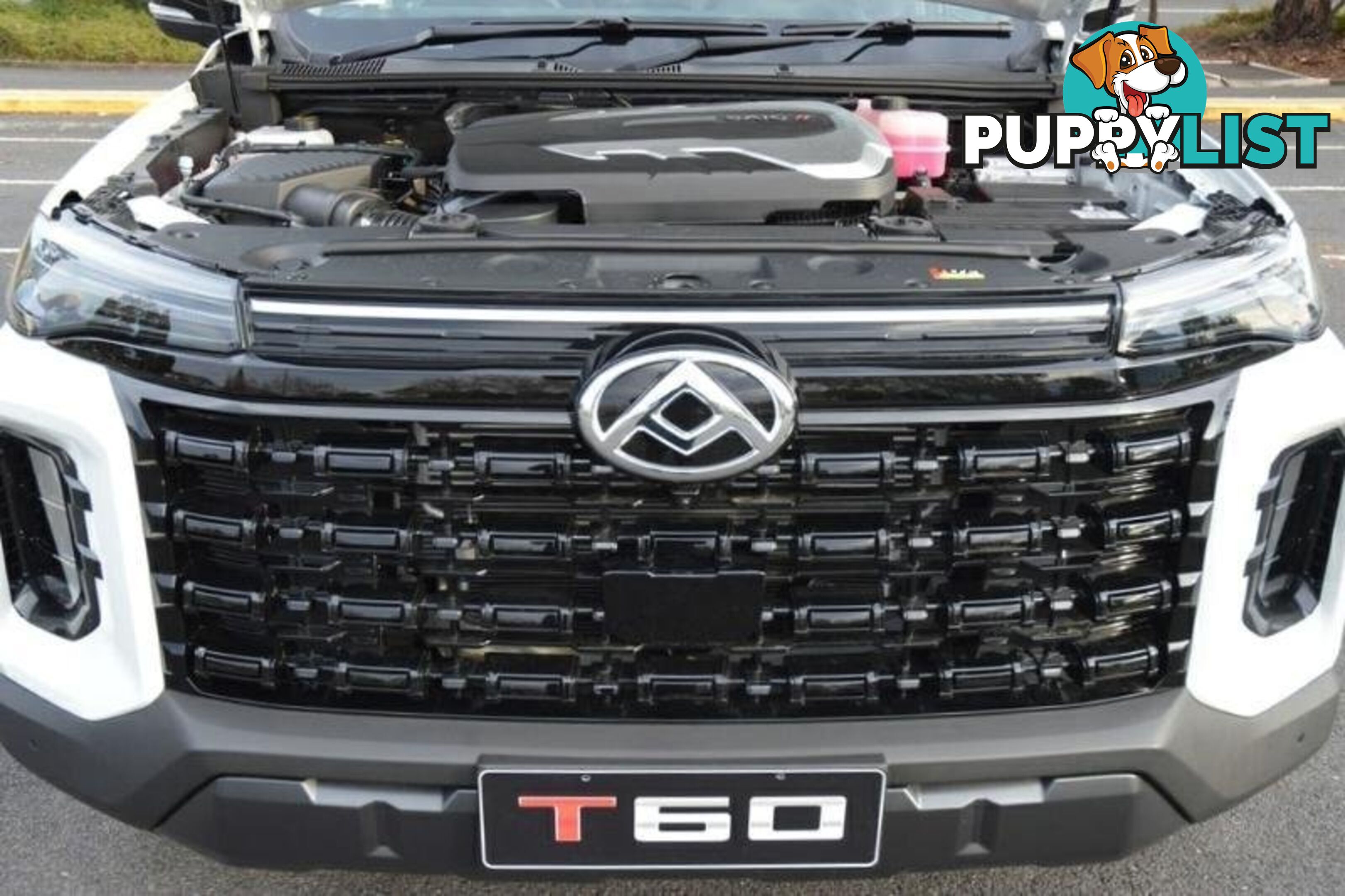 2024 LDV T60 MAX-PLUS SK8C MY24 4X4 DUAL RANGE DUAL CAB UTILITY