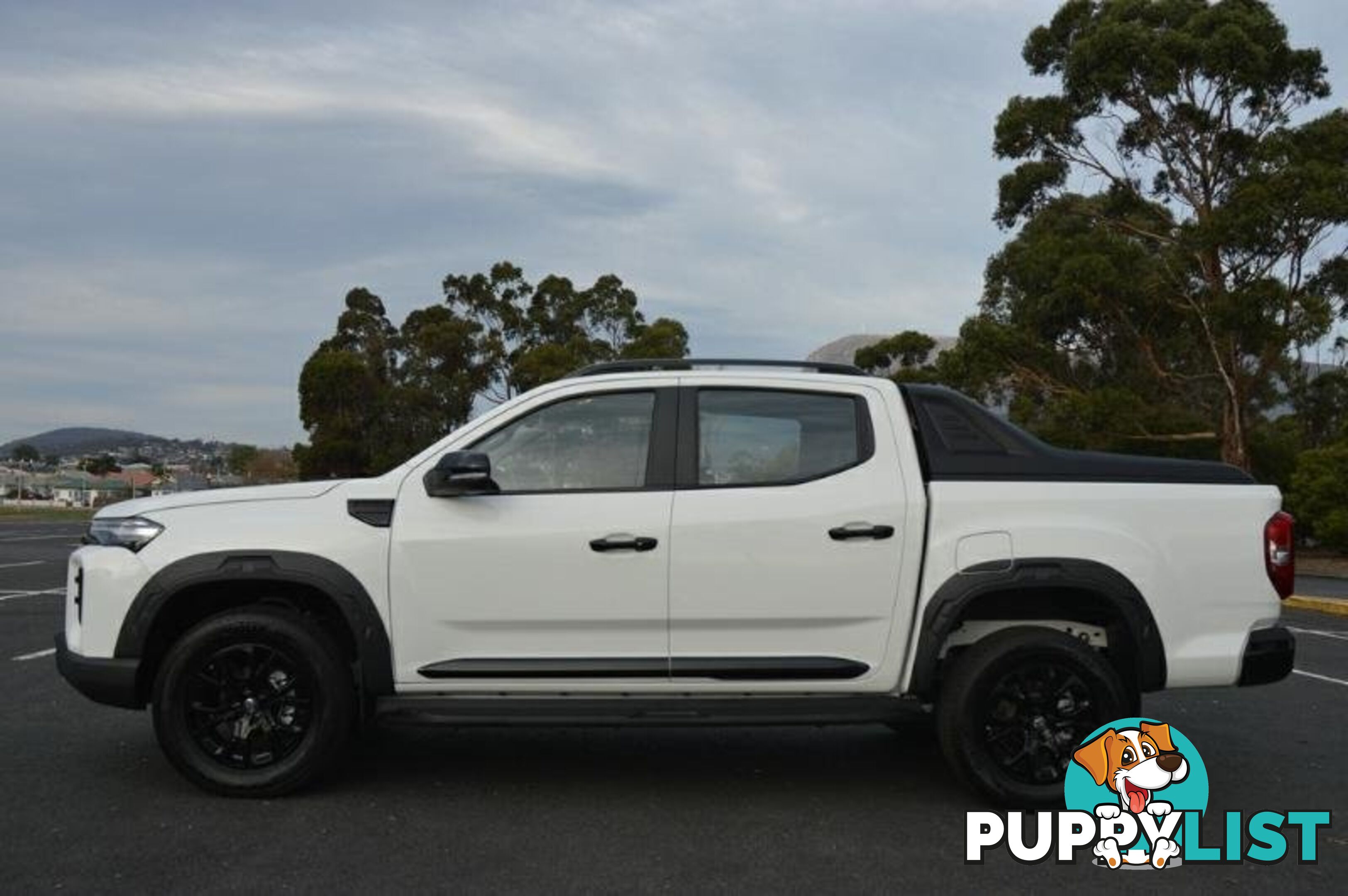 2024 LDV T60 MAX-PLUS SK8C MY24 4X4 DUAL RANGE DUAL CAB UTILITY