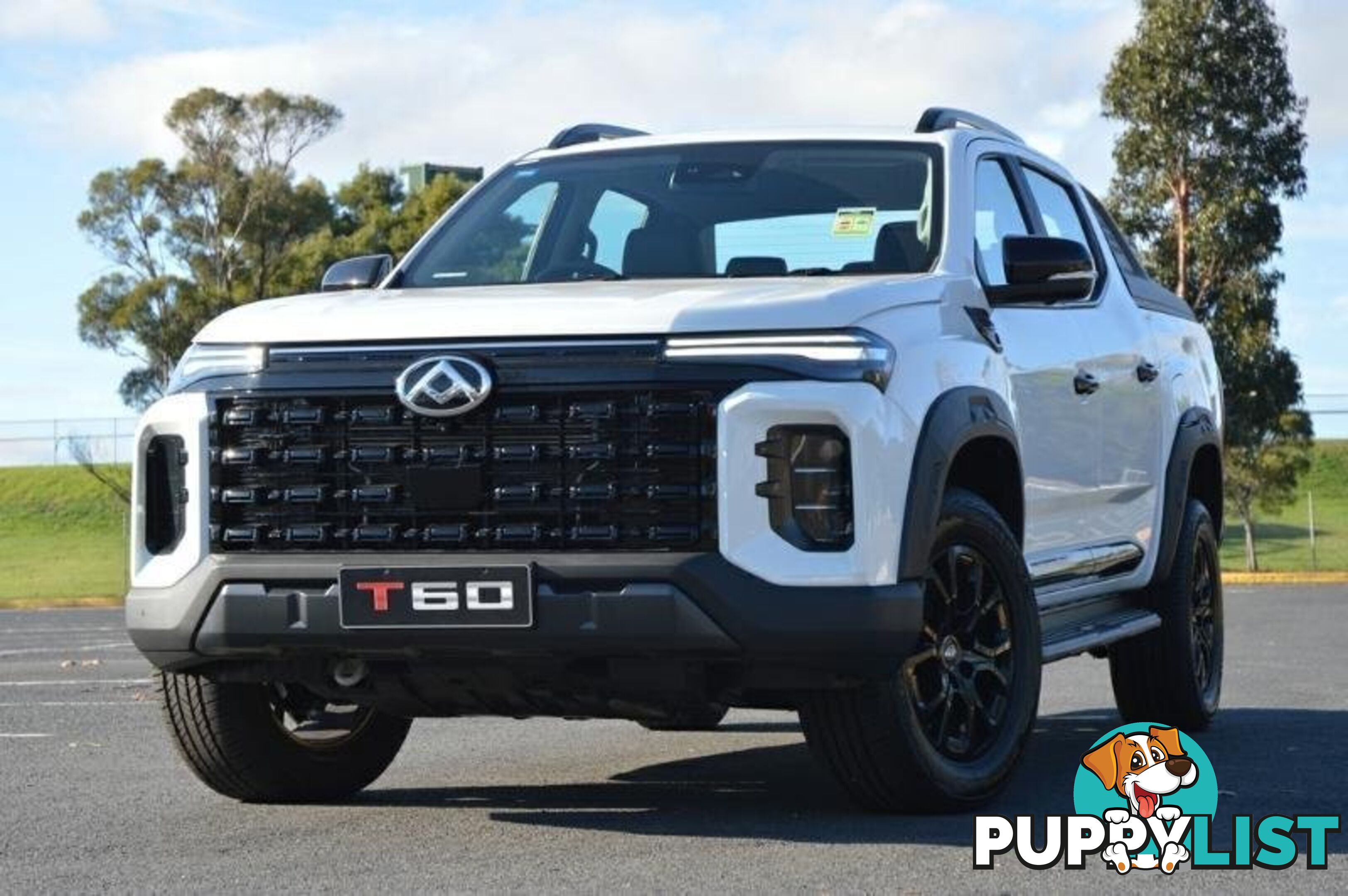 2024 LDV T60 MAX-PLUS SK8C MY24 4X4 DUAL RANGE DUAL CAB UTILITY
