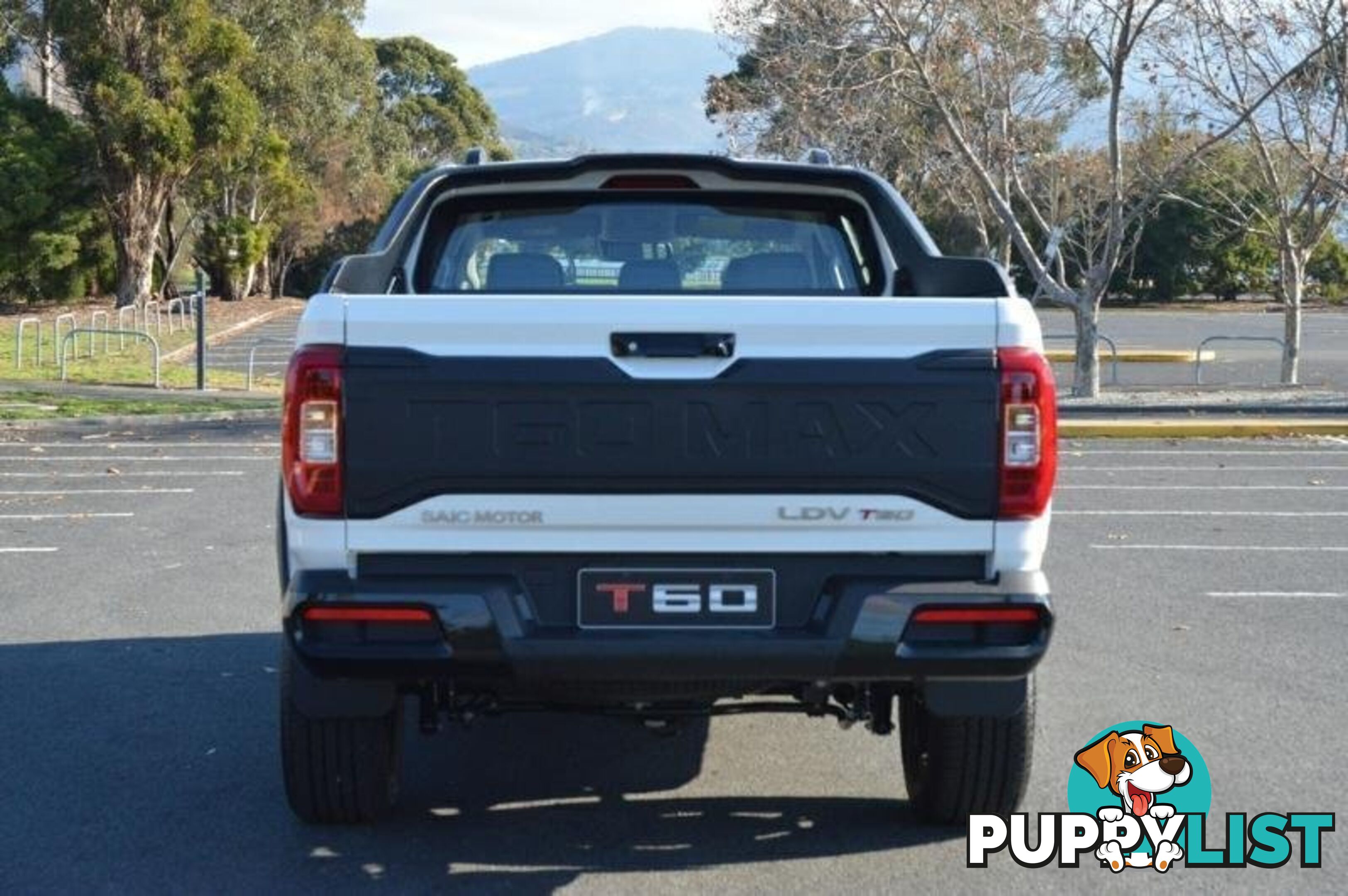 2024 LDV T60 MAX-PLUS SK8C MY24 4X4 DUAL RANGE DUAL CAB UTILITY