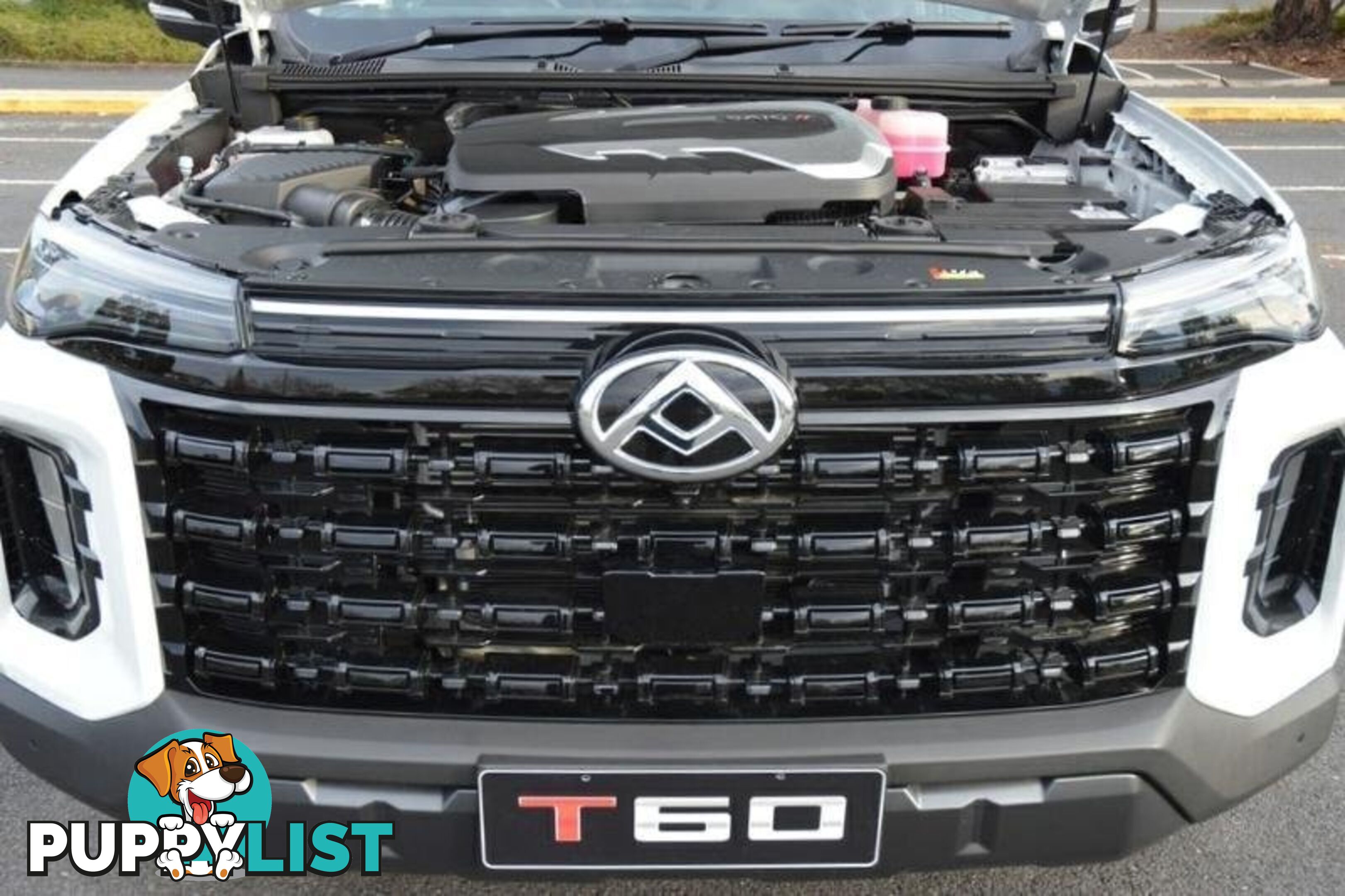 2024 LDV T60  SK8C MY24 4X4 DUAL RANGE DUAL CAB LONG WHEELBASE UTILITY