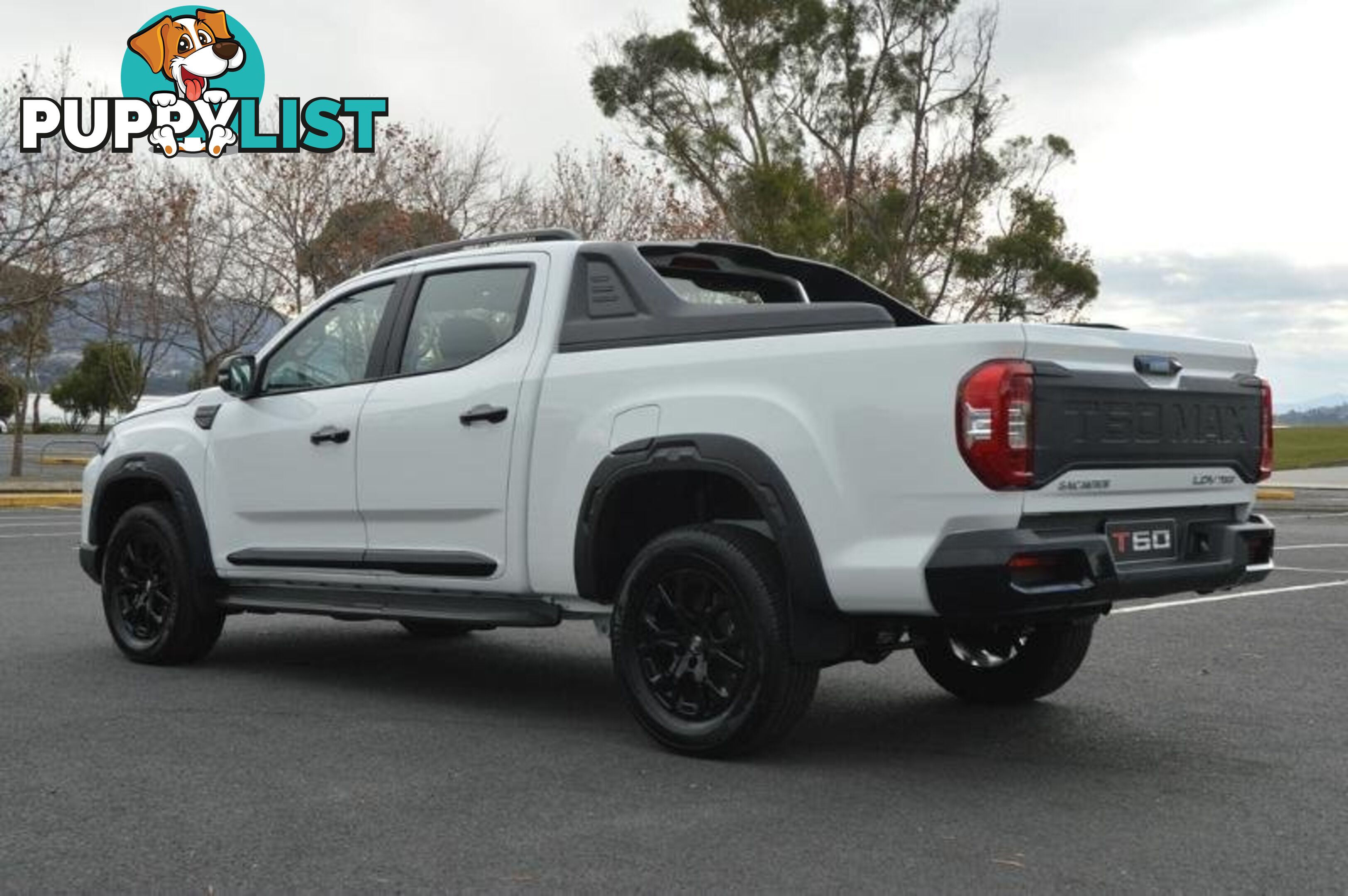 2024 LDV T60  SK8C MY24 4X4 DUAL RANGE DUAL CAB LONG WHEELBASE UTILITY