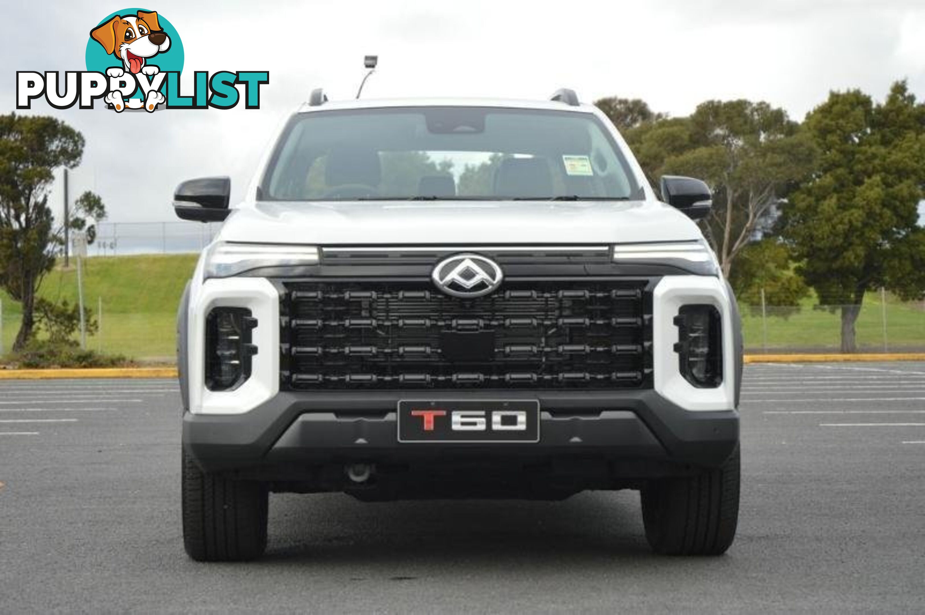 2024 LDV T60  SK8C MY24 4X4 DUAL RANGE DUAL CAB LONG WHEELBASE UTILITY