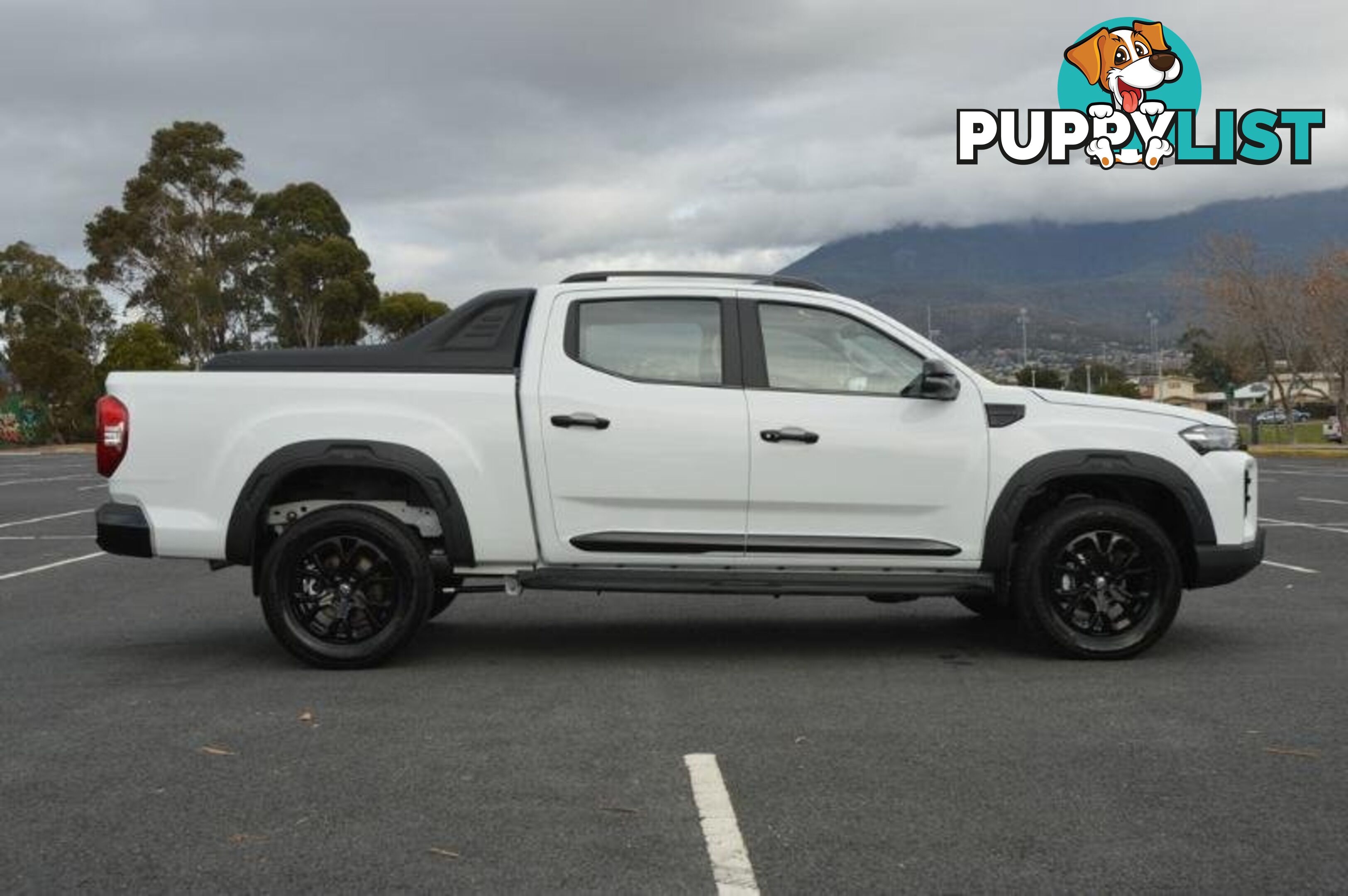 2024 LDV T60  SK8C MY24 4X4 DUAL RANGE DUAL CAB LONG WHEELBASE UTILITY