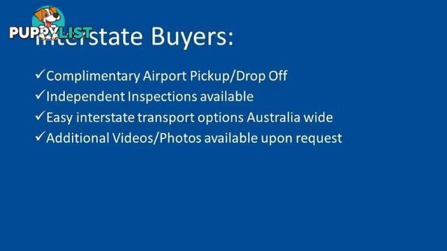 2024 LDV T60  SK8C MY24 4X4 DUAL RANGE DUAL CAB LONG WHEELBASE UTILITY
