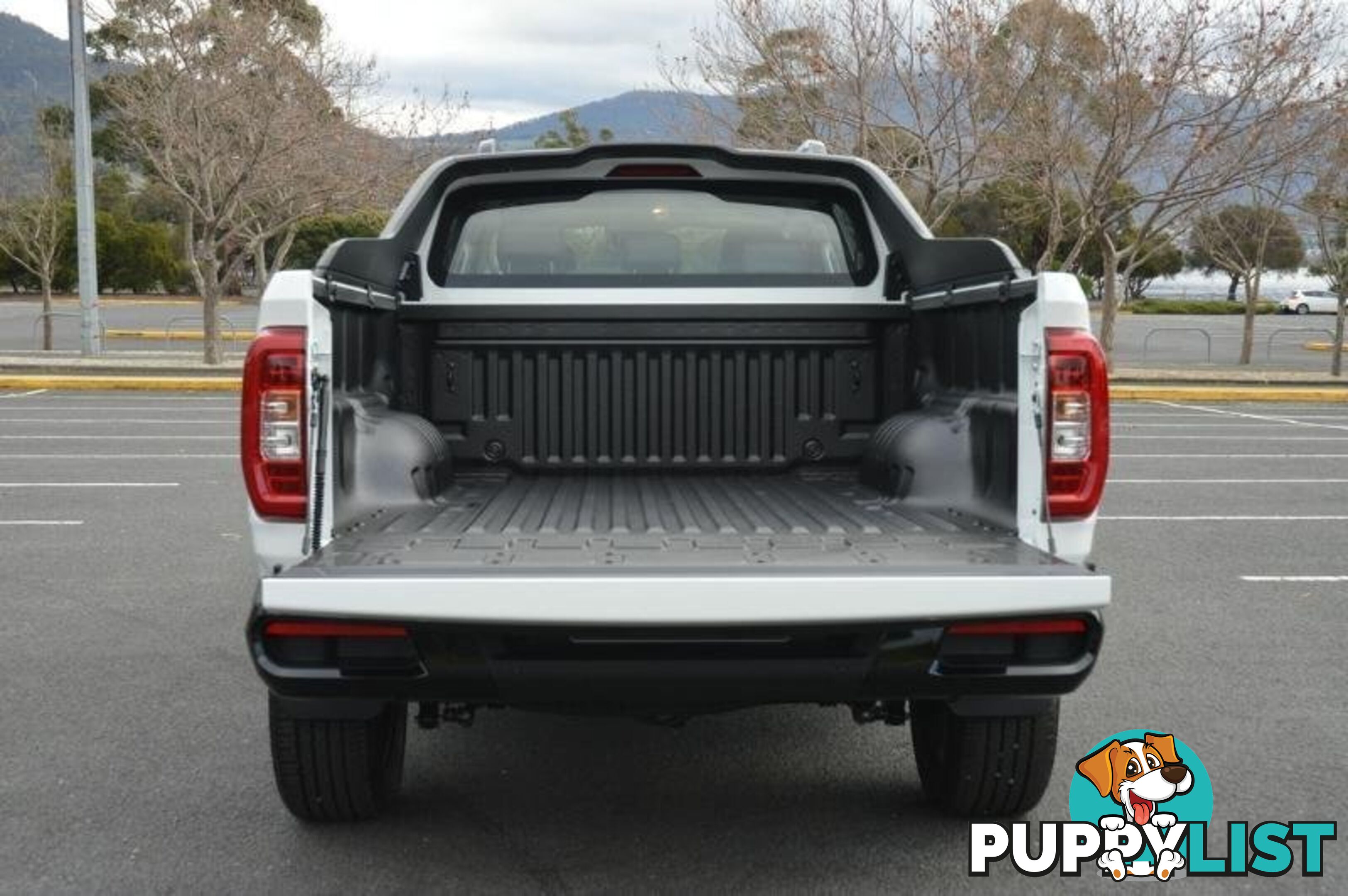 2024 LDV T60  SK8C MY24 4X4 DUAL RANGE DUAL CAB LONG WHEELBASE UTILITY