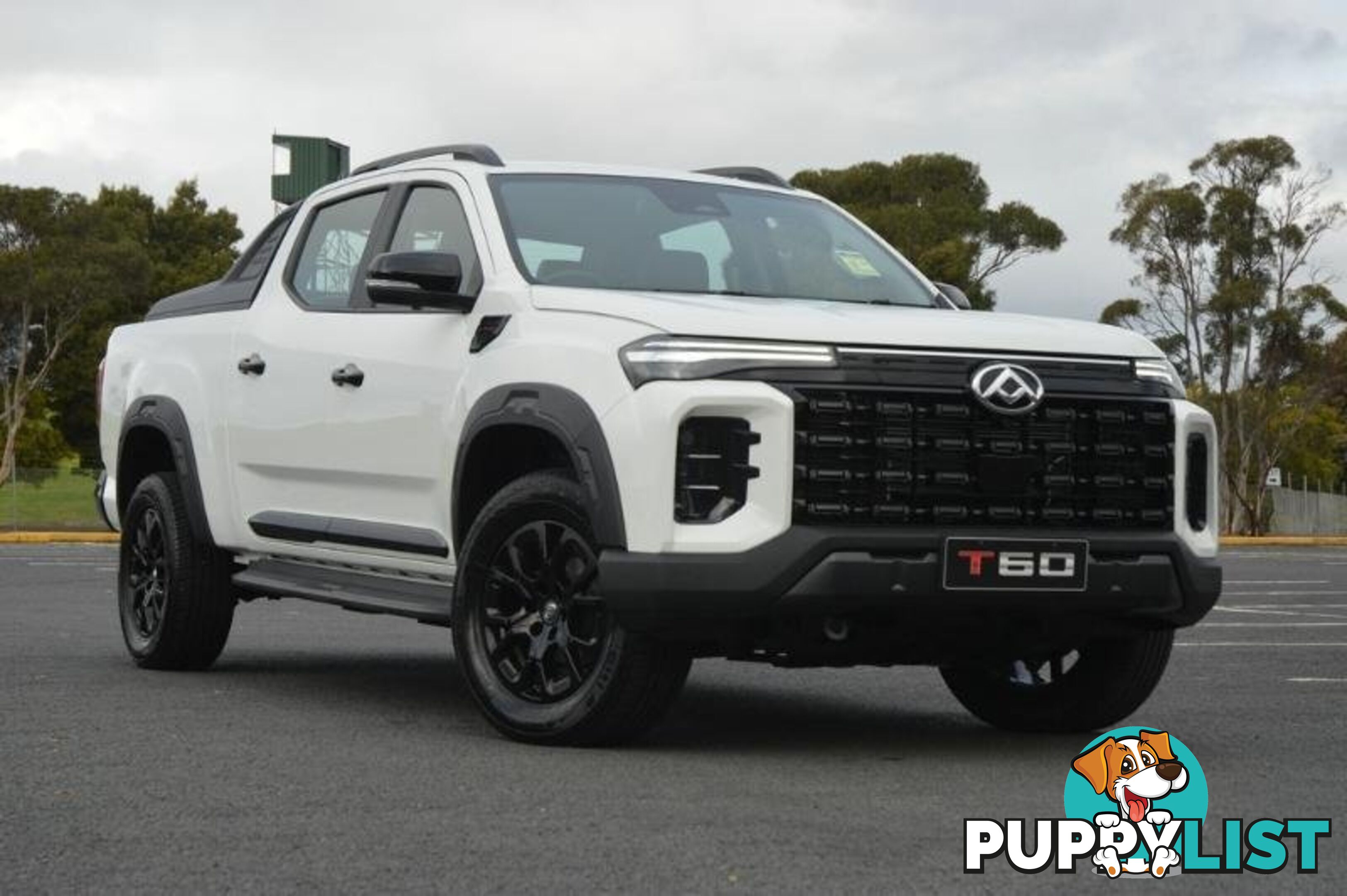2024 LDV T60  SK8C MY24 4X4 DUAL RANGE DUAL CAB LONG WHEELBASE UTILITY