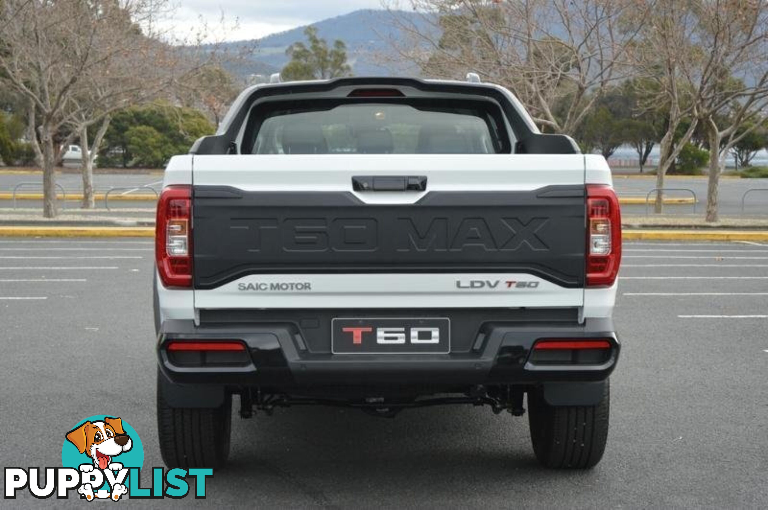 2024 LDV T60  SK8C MY24 4X4 DUAL RANGE DUAL CAB LONG WHEELBASE UTILITY