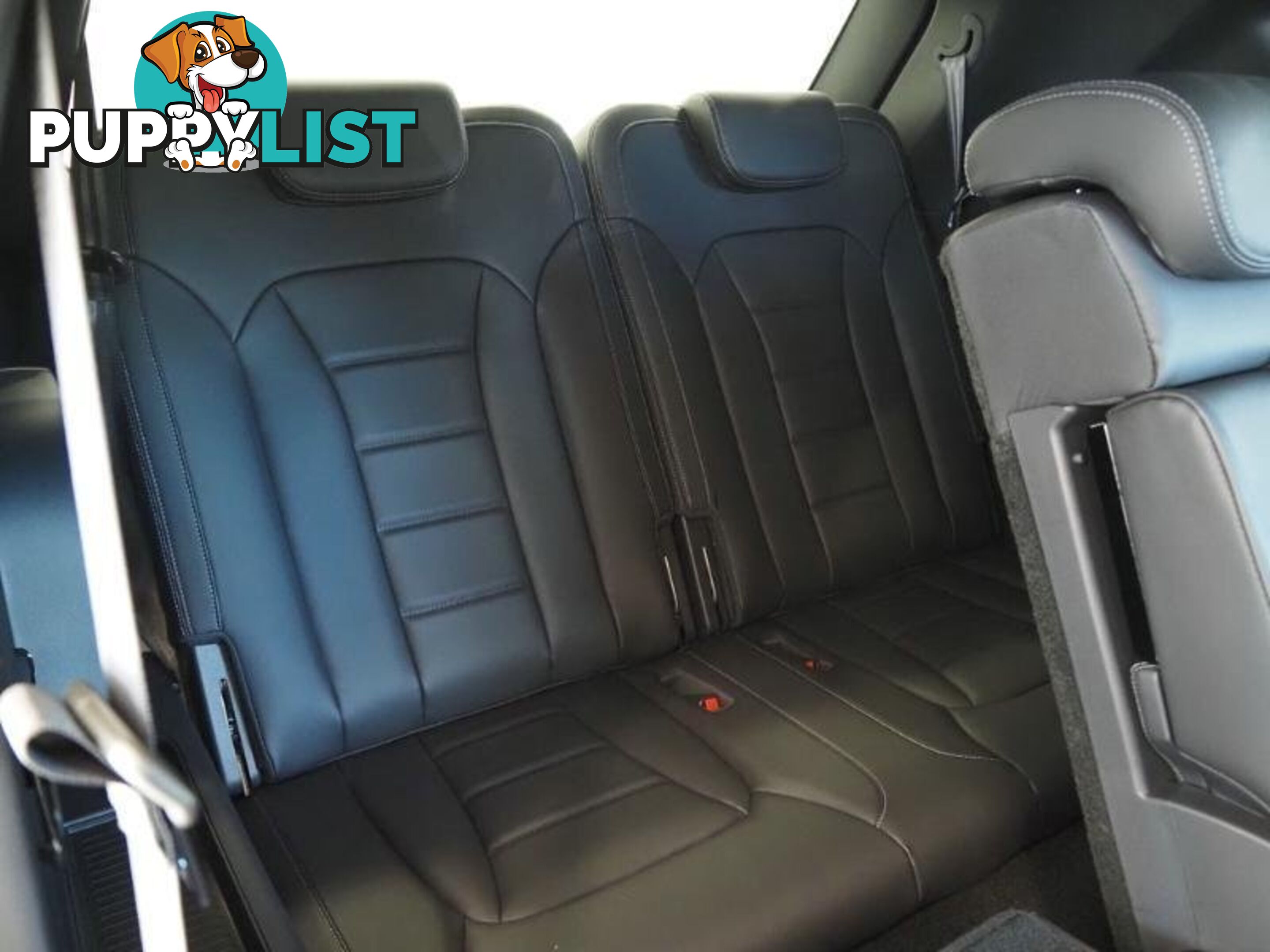 2024 SSANGYONG REXTON ULTIMATE Y461 MY24 4X4 DUAL RANGE SUV