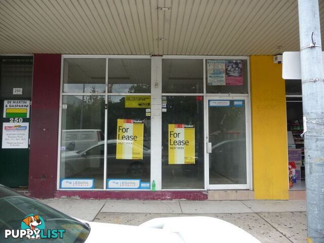 5/246-250 Pitt Street MERRYLANDS NSW 2160