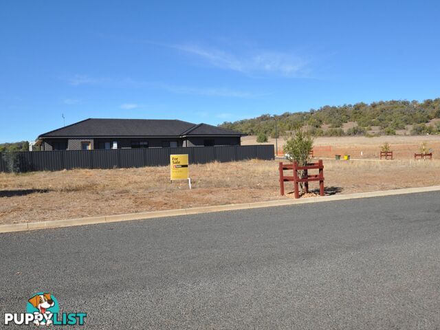 Lot 311 Bottle Brush Avenue GUNNEDAH NSW 2380