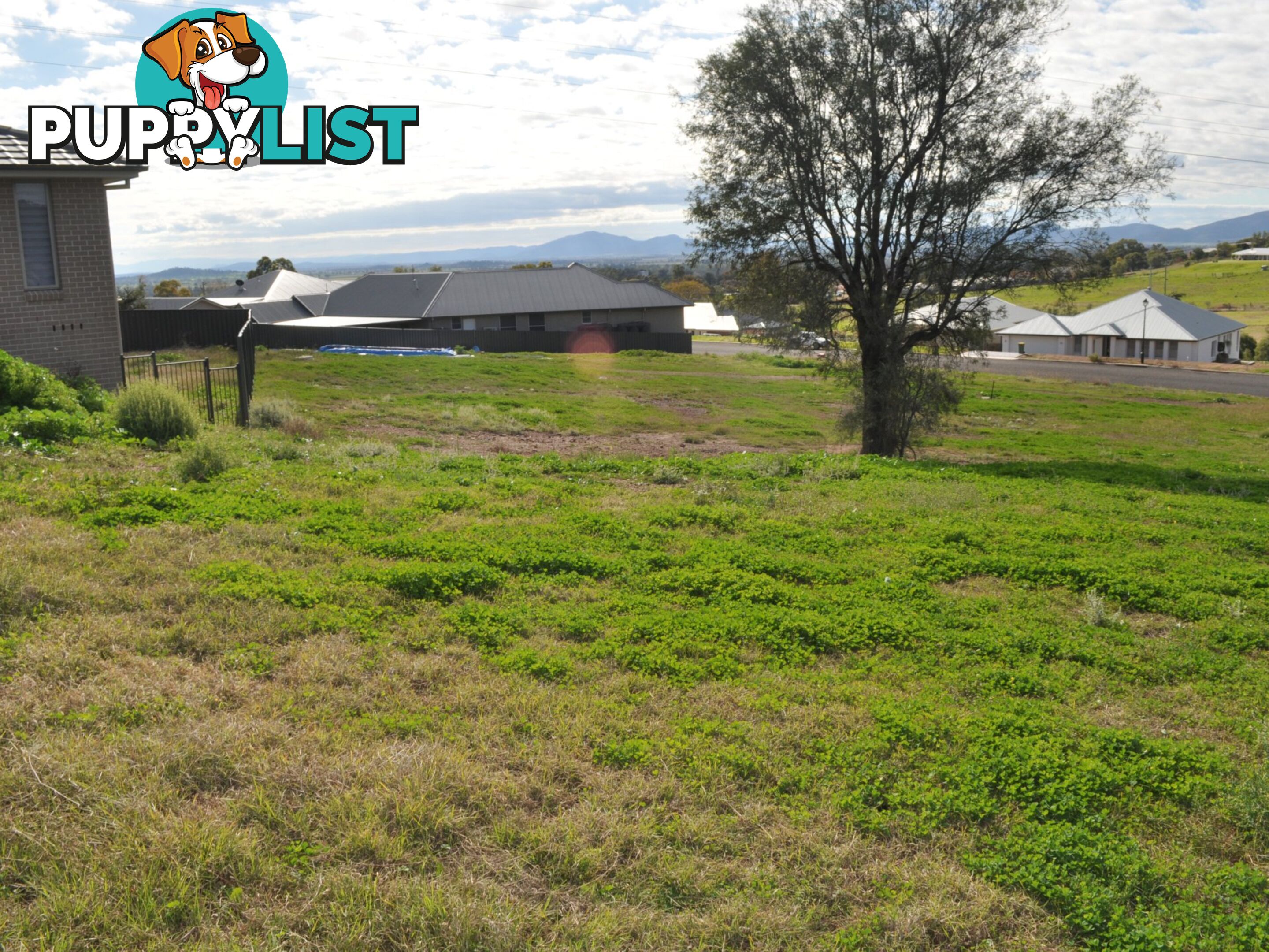 Lot 8 Sunnyside Farm GUNNEDAH NSW 2380