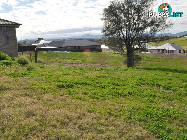 Lot 8 Sunnyside Farm GUNNEDAH NSW 2380