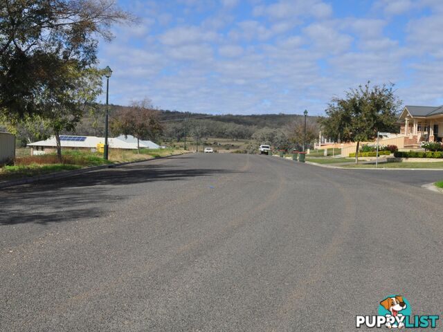 Lot 8 Sunnyside Farm GUNNEDAH NSW 2380