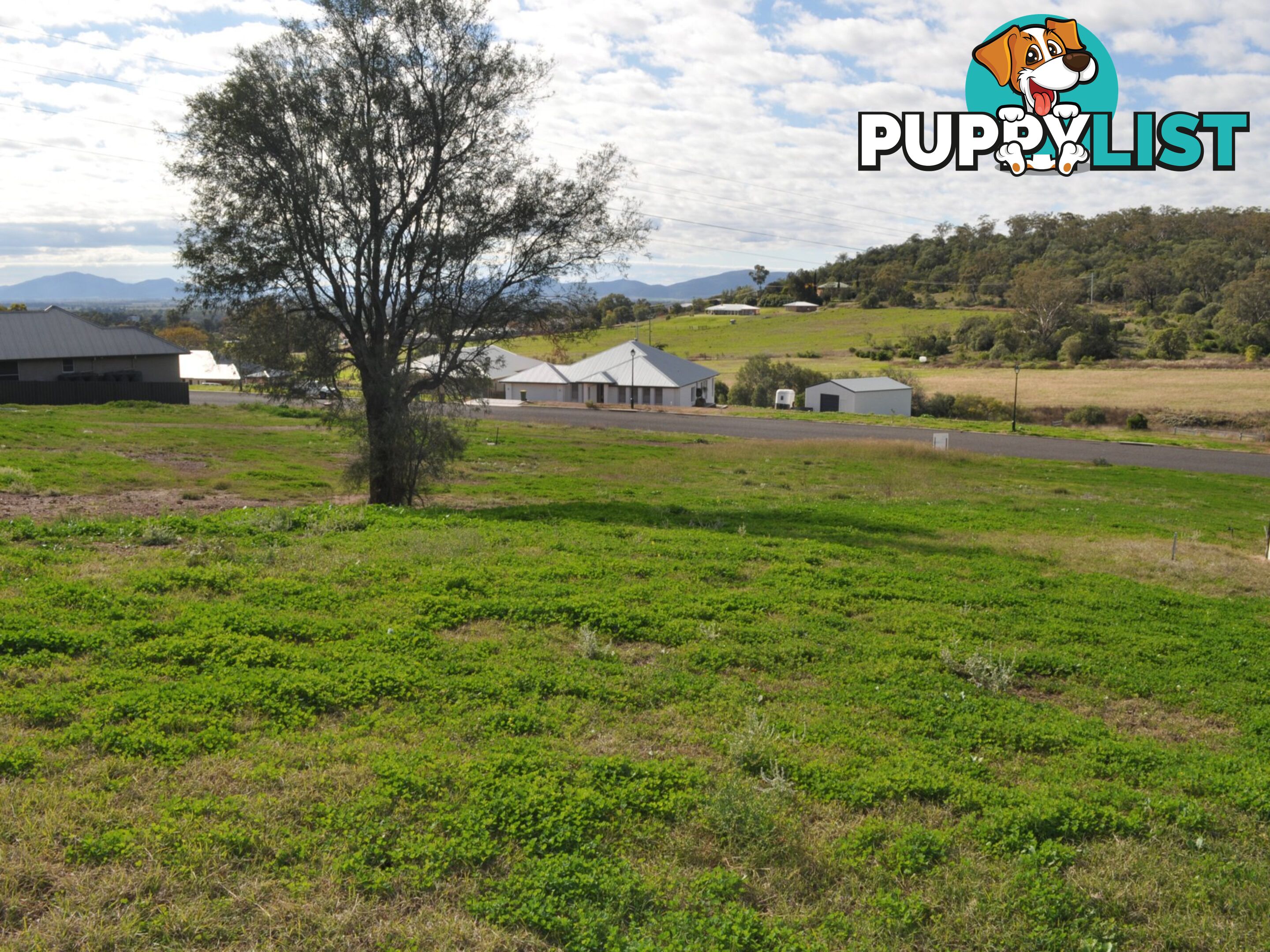 Lot 8 Sunnyside Farm GUNNEDAH NSW 2380