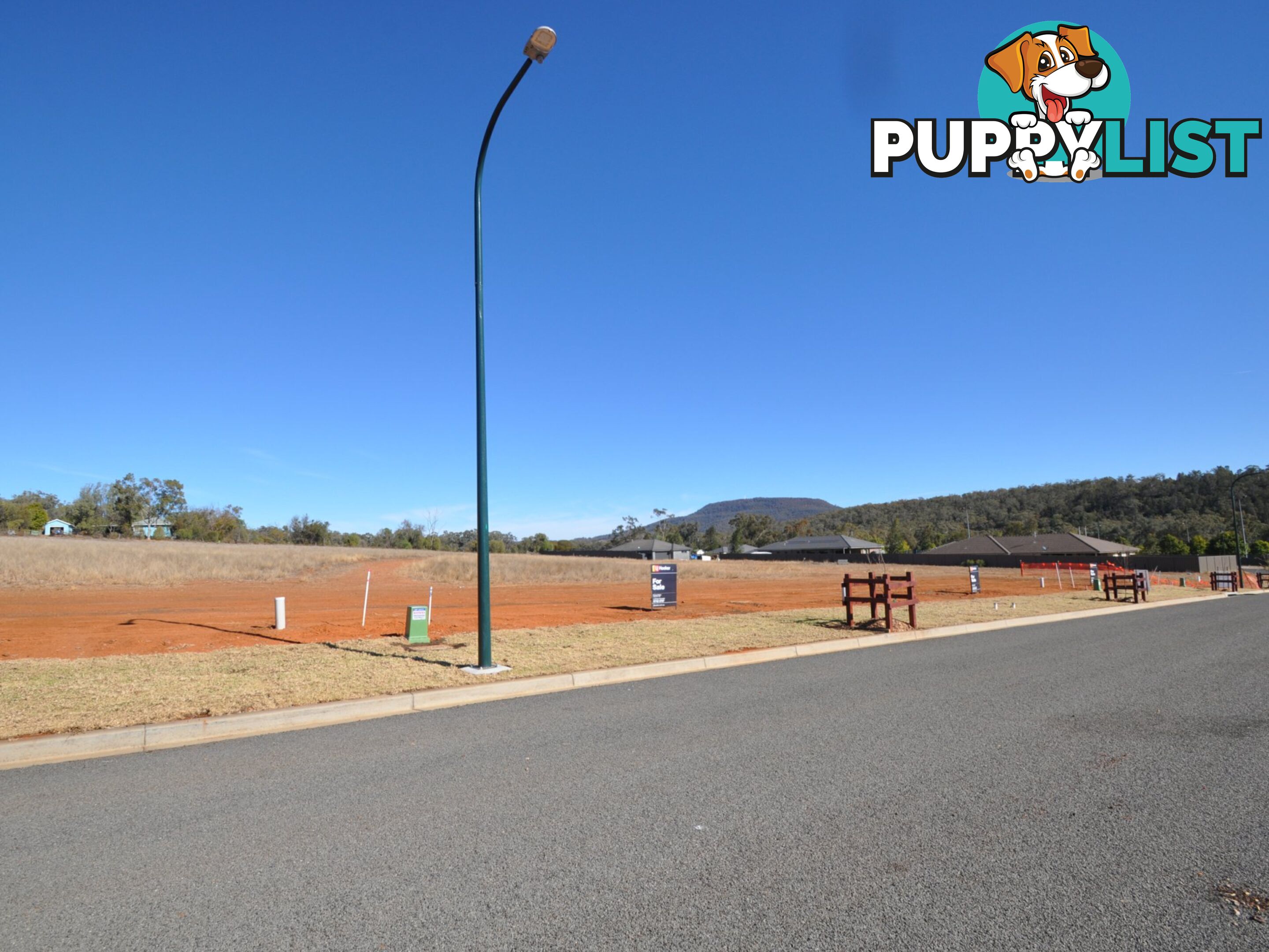 Lot 318 Elm Drive GUNNEDAH NSW 2380