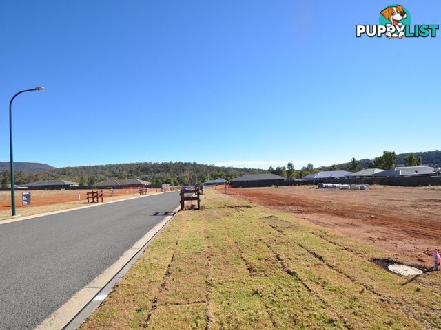 Lot 318 Elm Drive GUNNEDAH NSW 2380