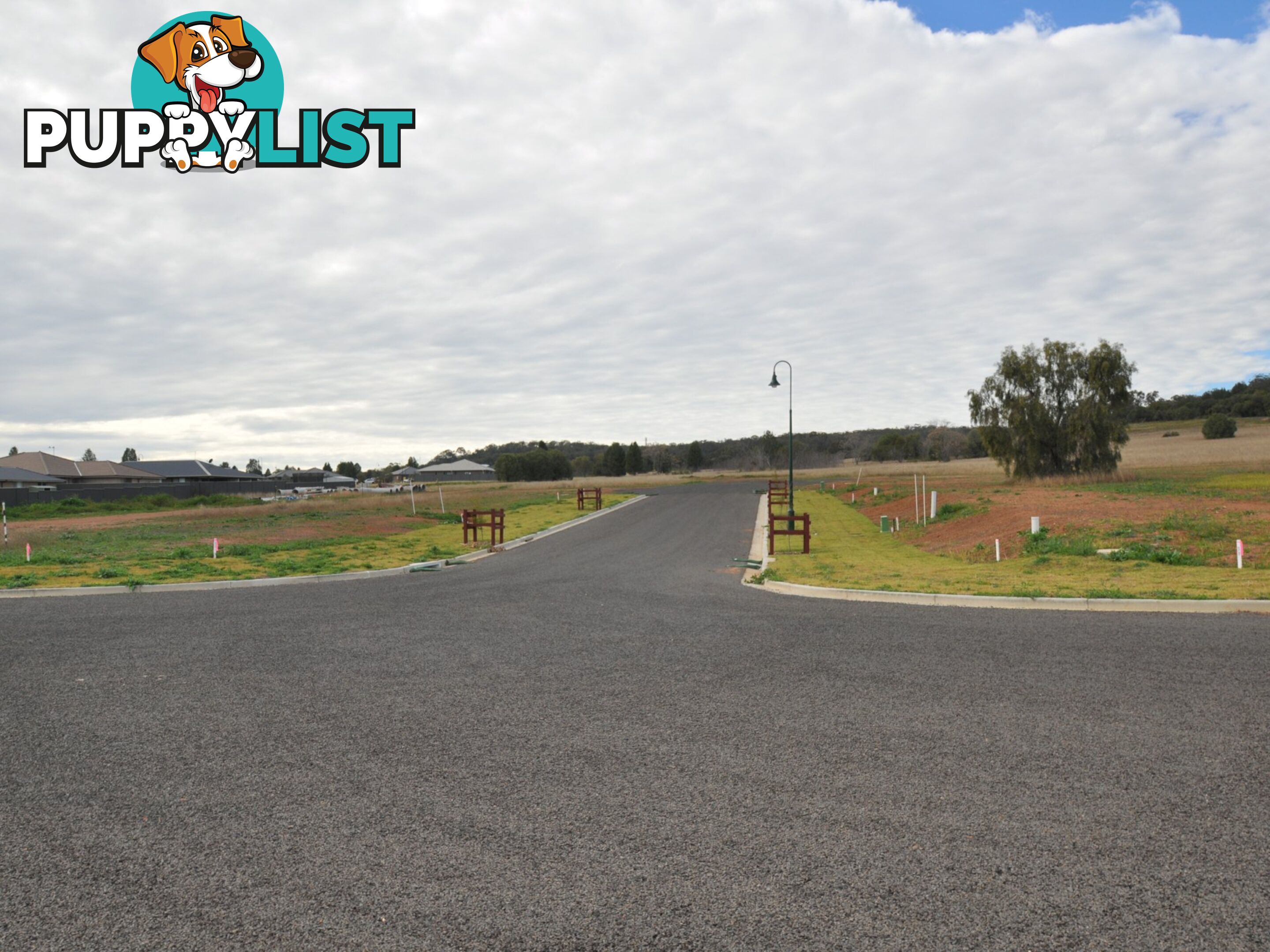 Lot 318 Elm Drive GUNNEDAH NSW 2380