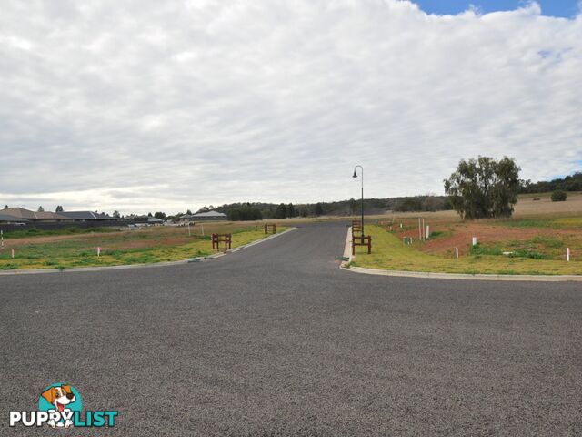 Lot 318 Elm Drive GUNNEDAH NSW 2380