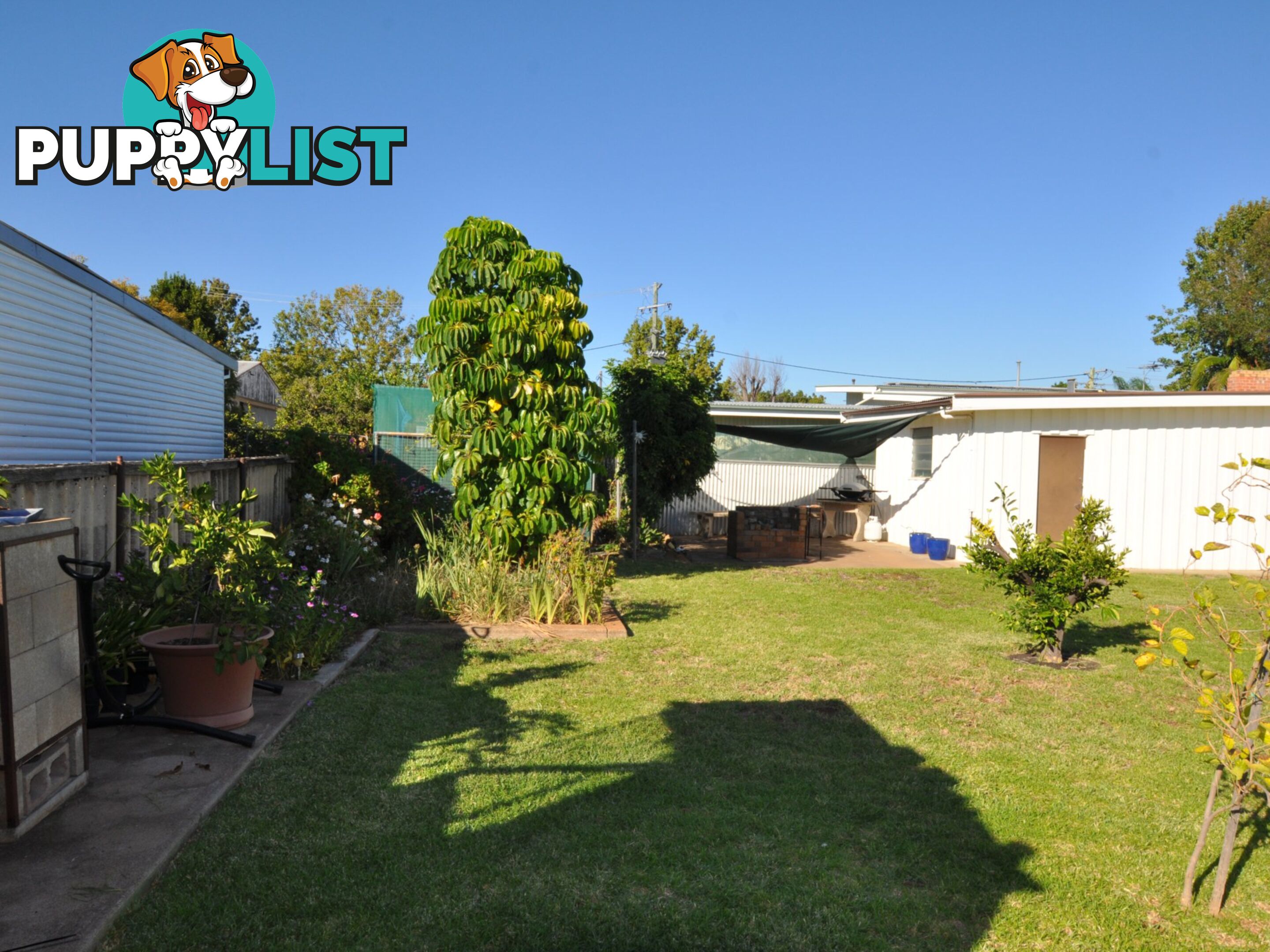 24 Stewart Street GUNNEDAH NSW 2380