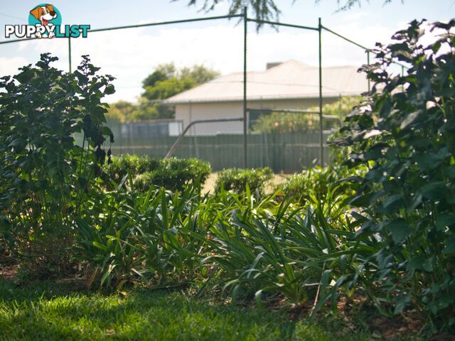 112 - 114 Edward St GUNNEDAH NSW 2380