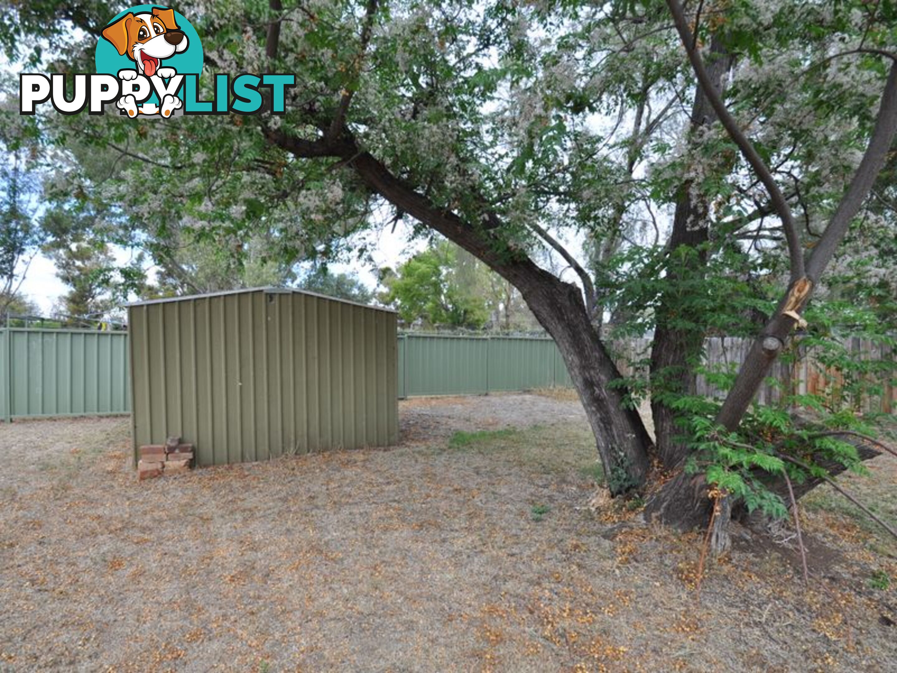 93 Edward Street GUNNEDAH NSW 2380