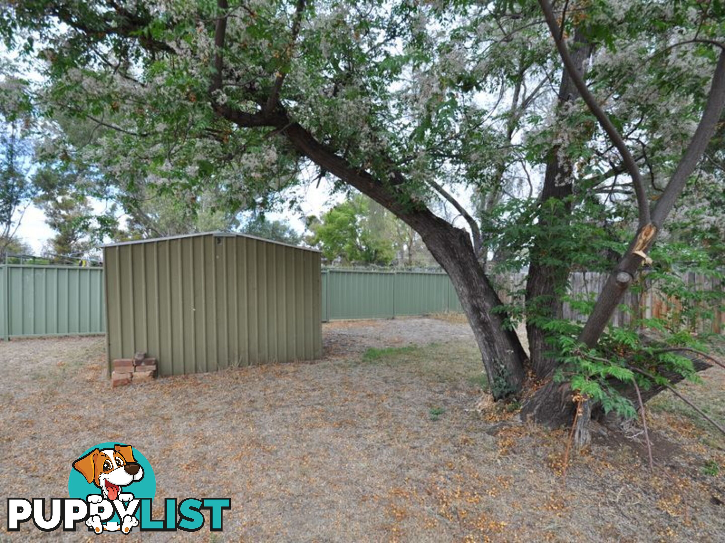 93 Edward Street GUNNEDAH NSW 2380