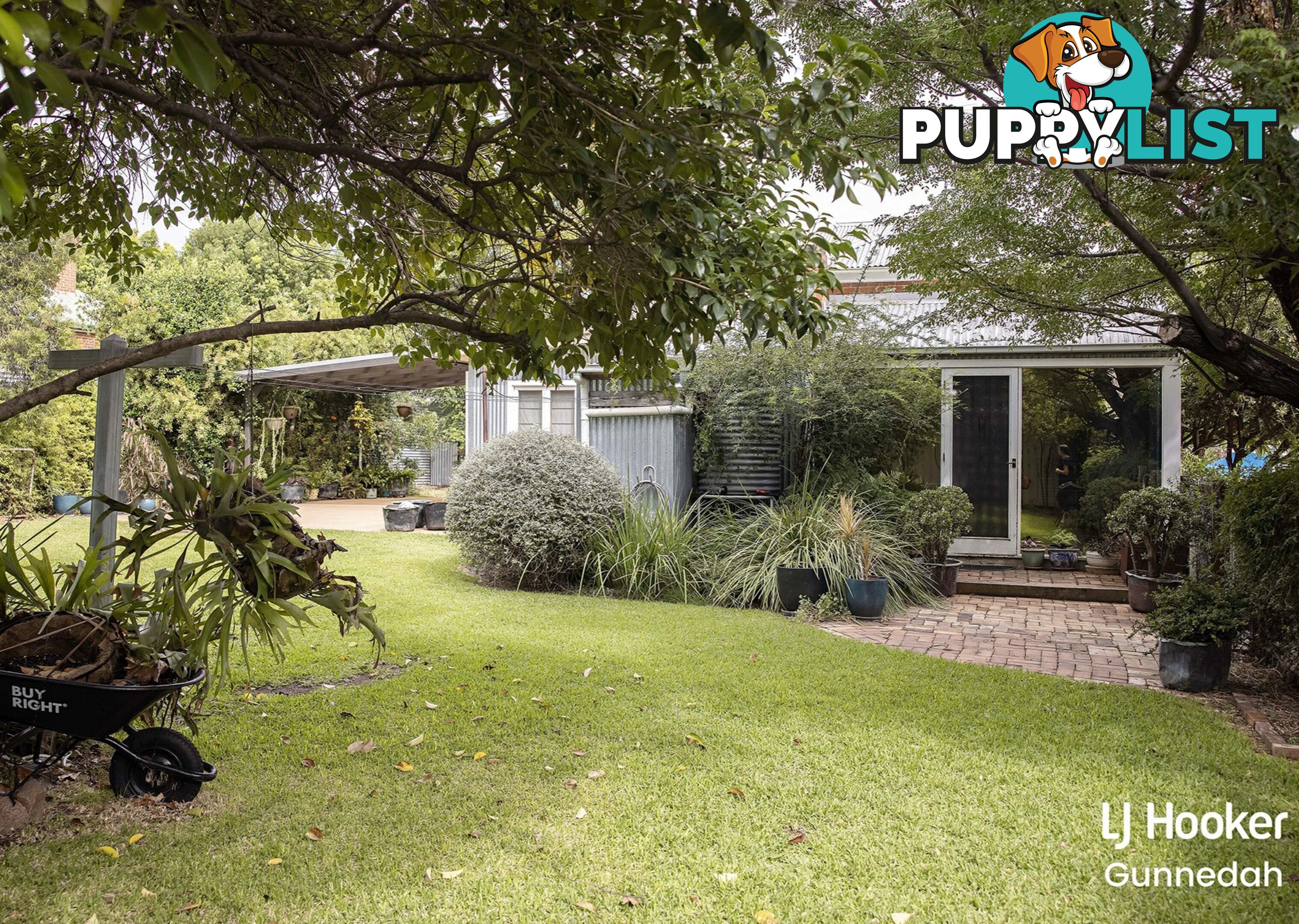 17 Abbott Street GUNNEDAH NSW 2380