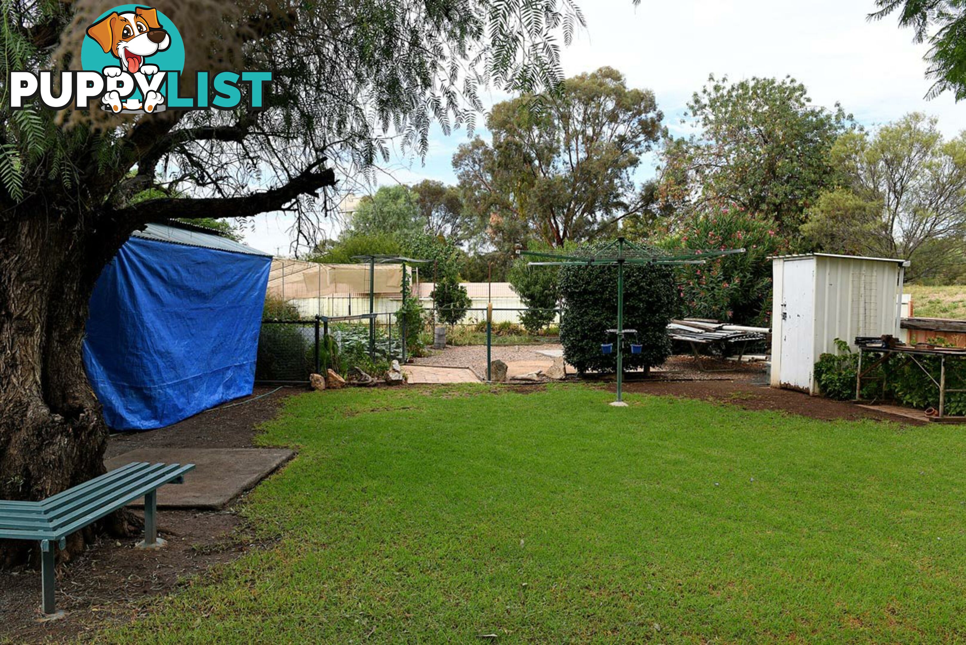 27 Conadilly street GUNNEDAH NSW 2380