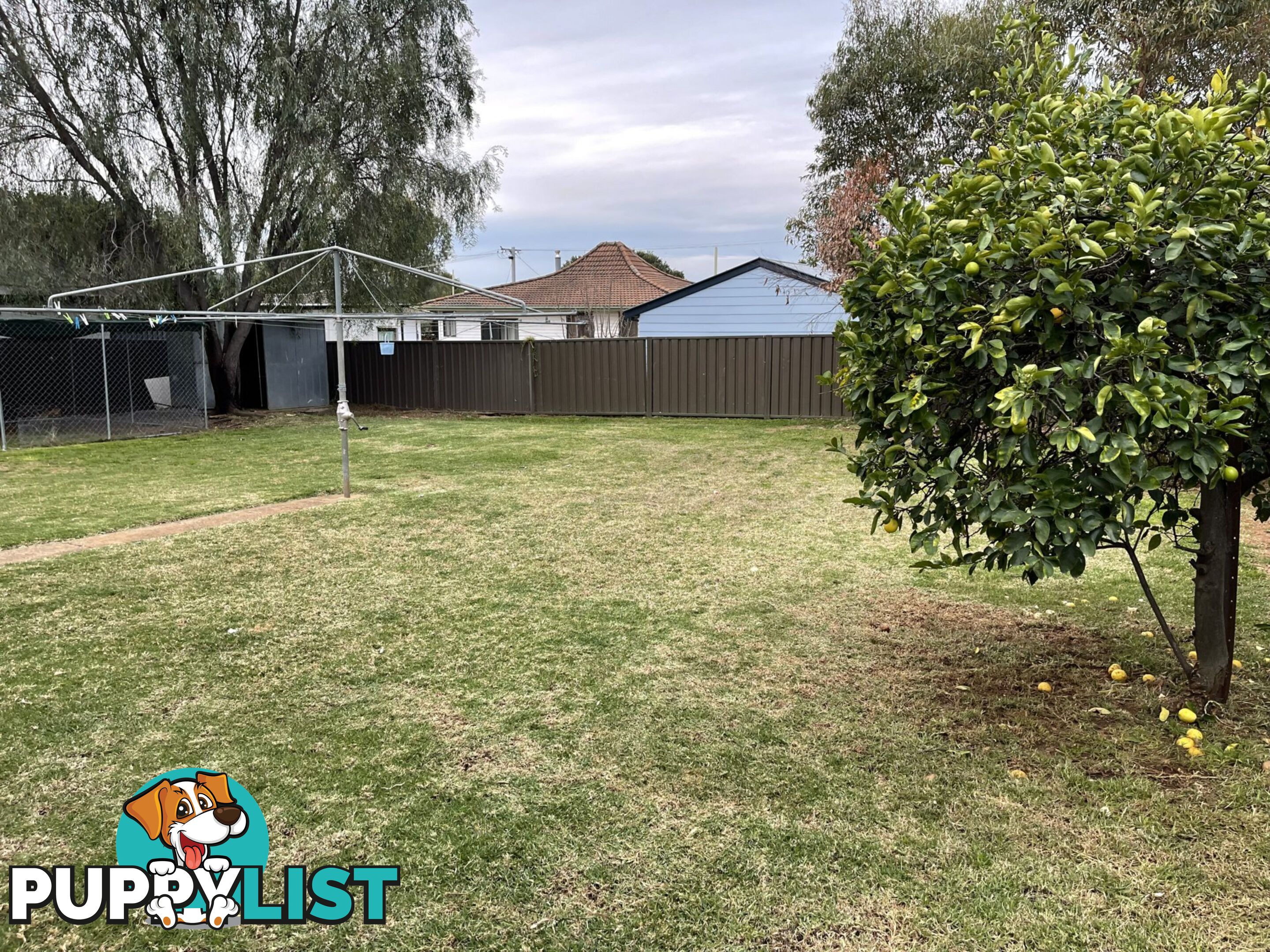 11 Hopedale Ave GUNNEDAH NSW 2380