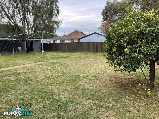 11 Hopedale Ave GUNNEDAH NSW 2380
